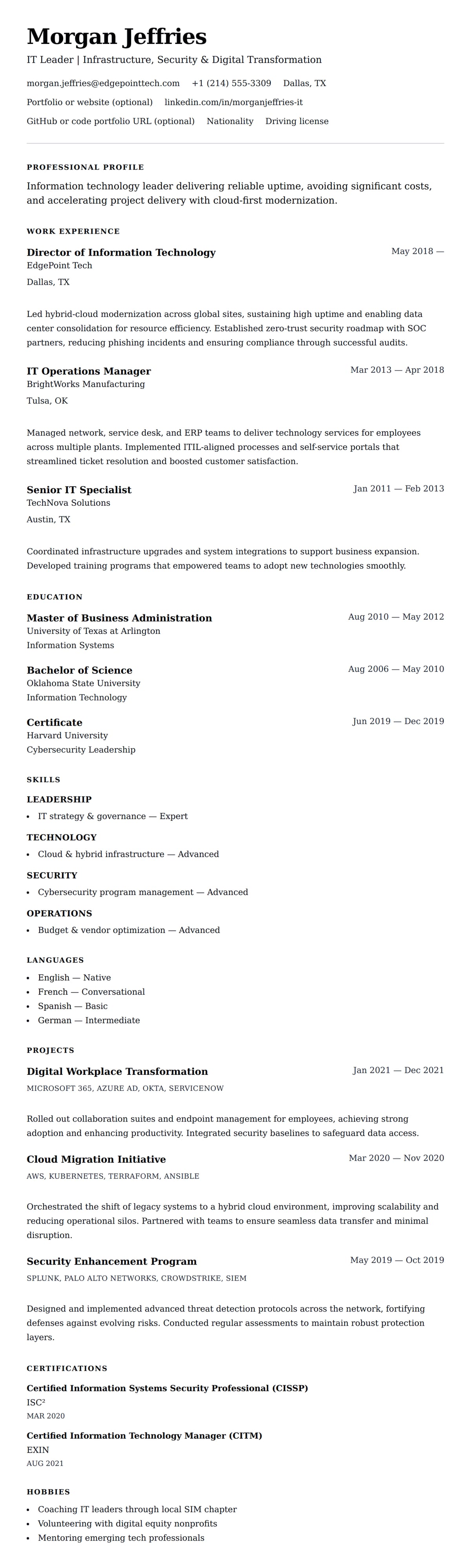 Resume preview for Information Technology Professional Resume Example