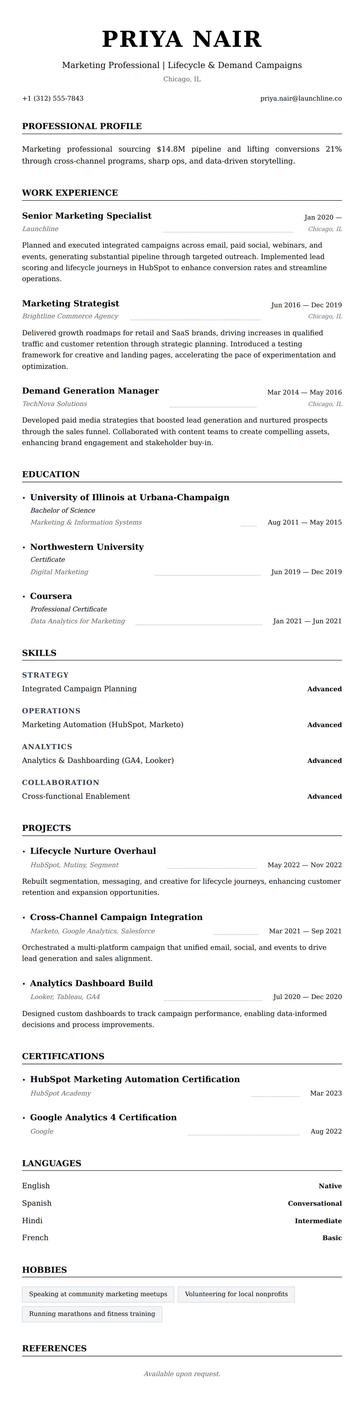 Resume preview for Marketing Professional Resume Example