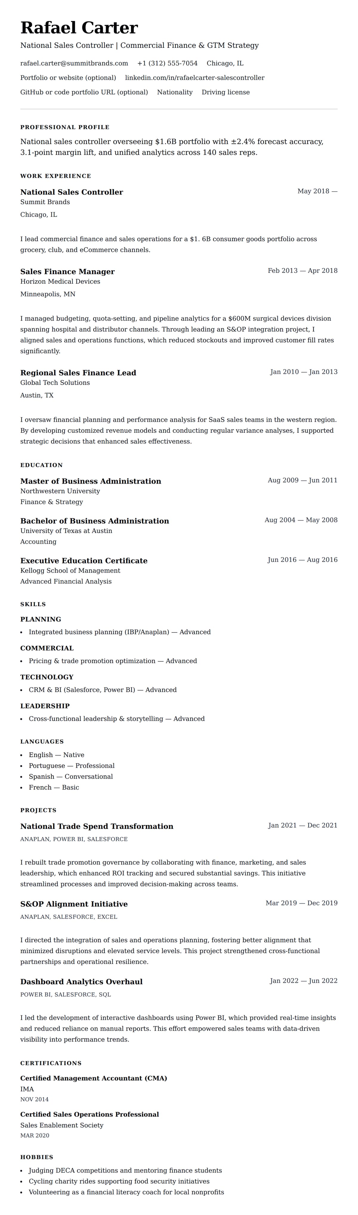 Resume preview for National Sales Controller Resume Example