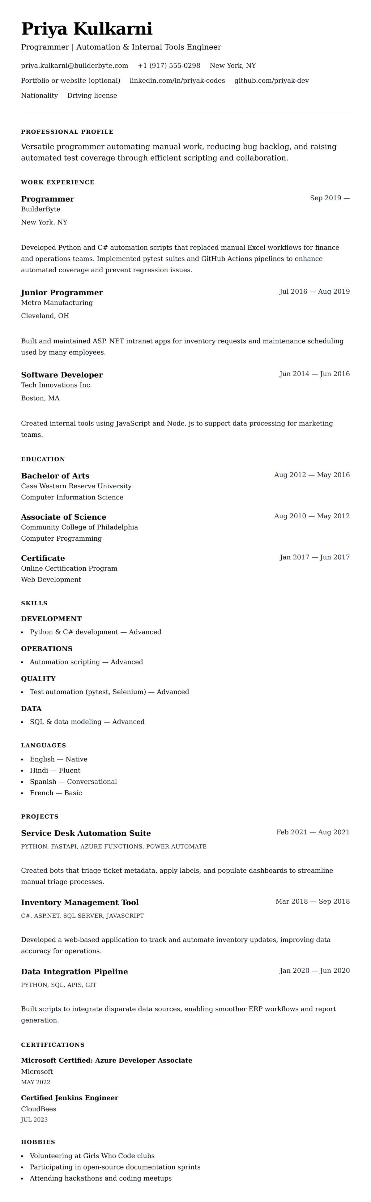 Resume preview for Programmer Resume Example