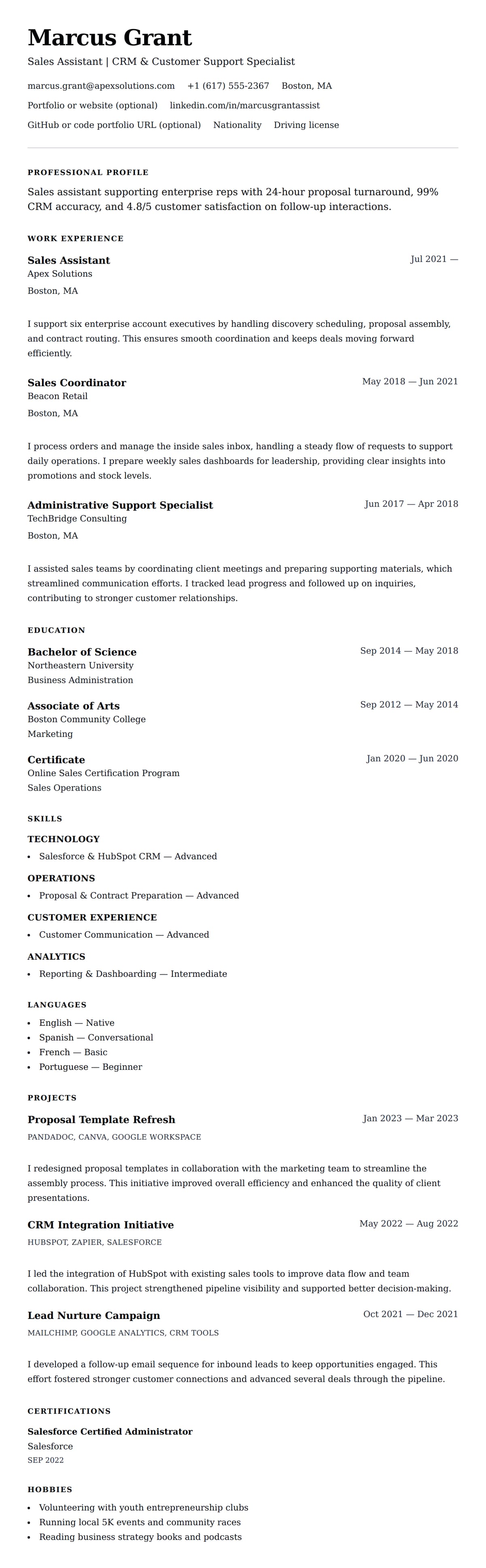 Resume preview for Sales Assistant Resume Example