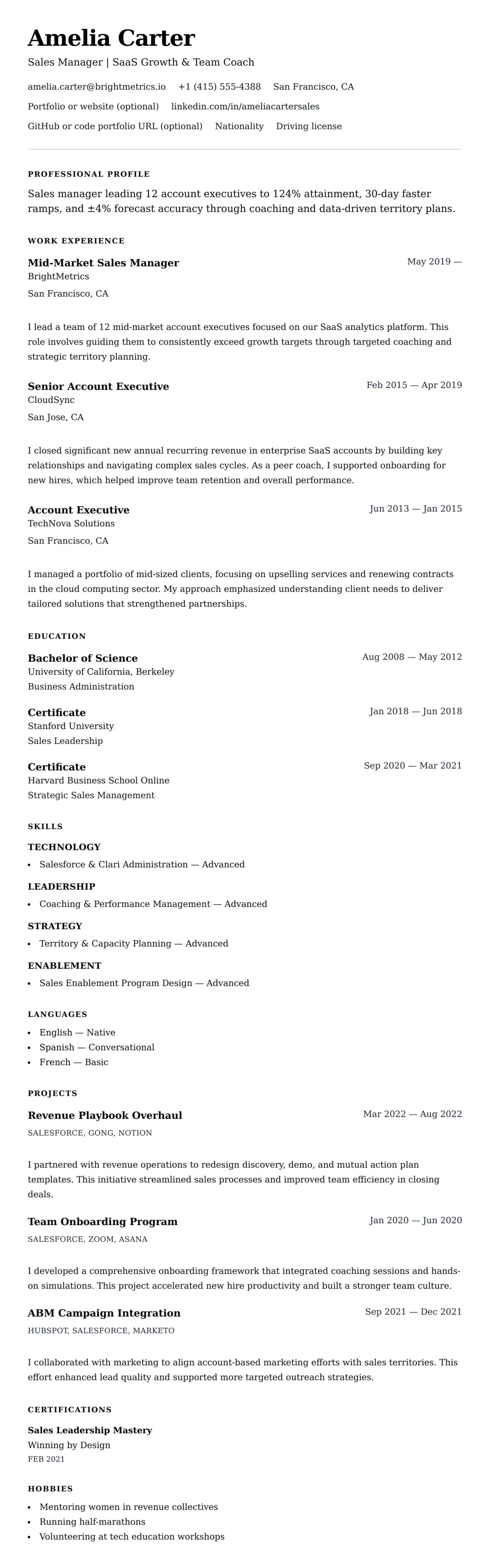Resume preview for Sales Manager Resume Example