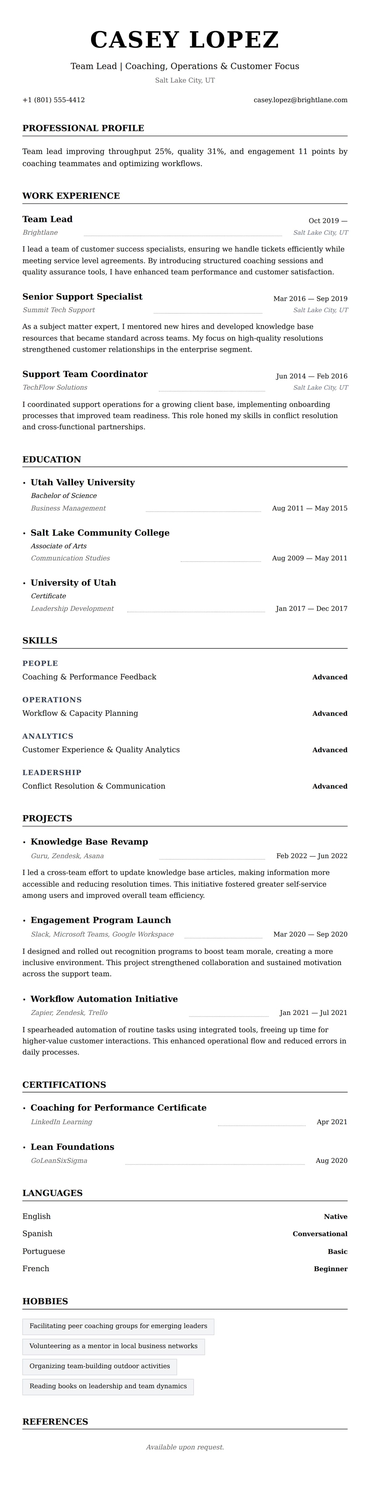 Resume preview for Team Lead Resume Example