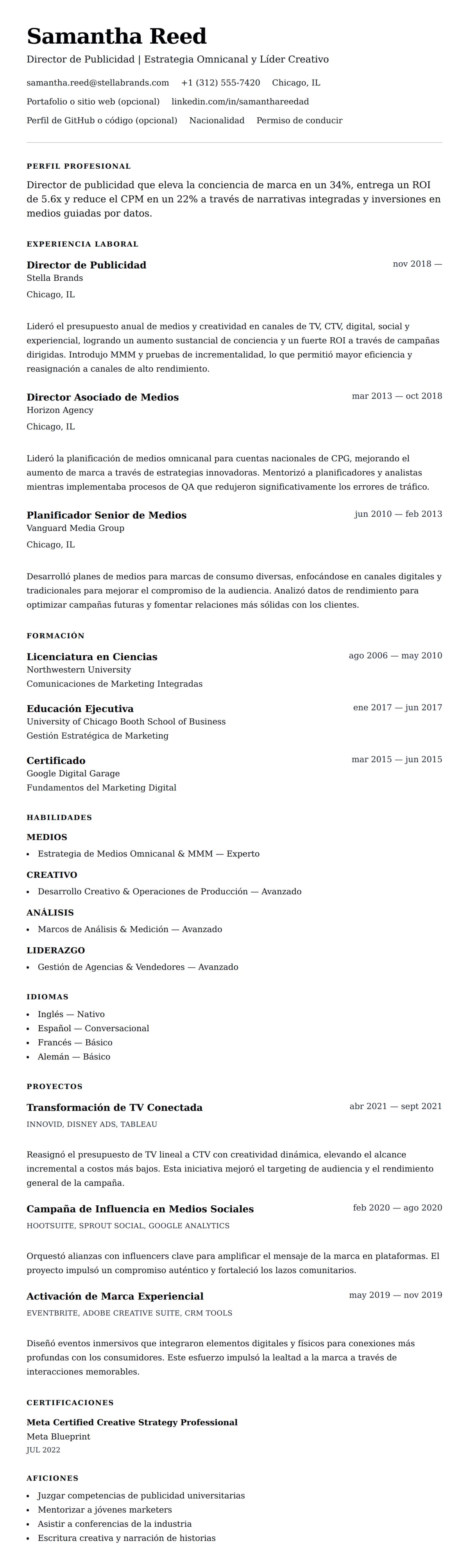 Vista previa del currículum Ejemplo de Currículum de Director de Publicidad