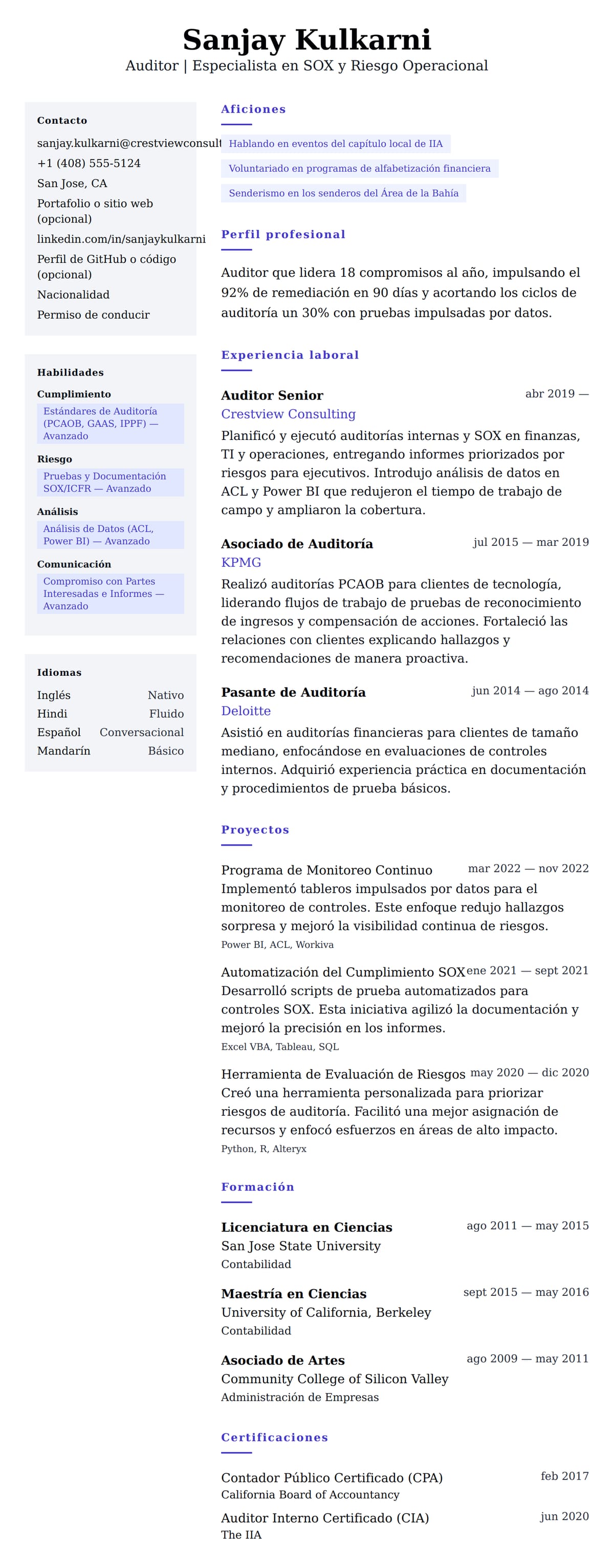 Vista previa del currículum Ejemplo de Currículum de Auditor