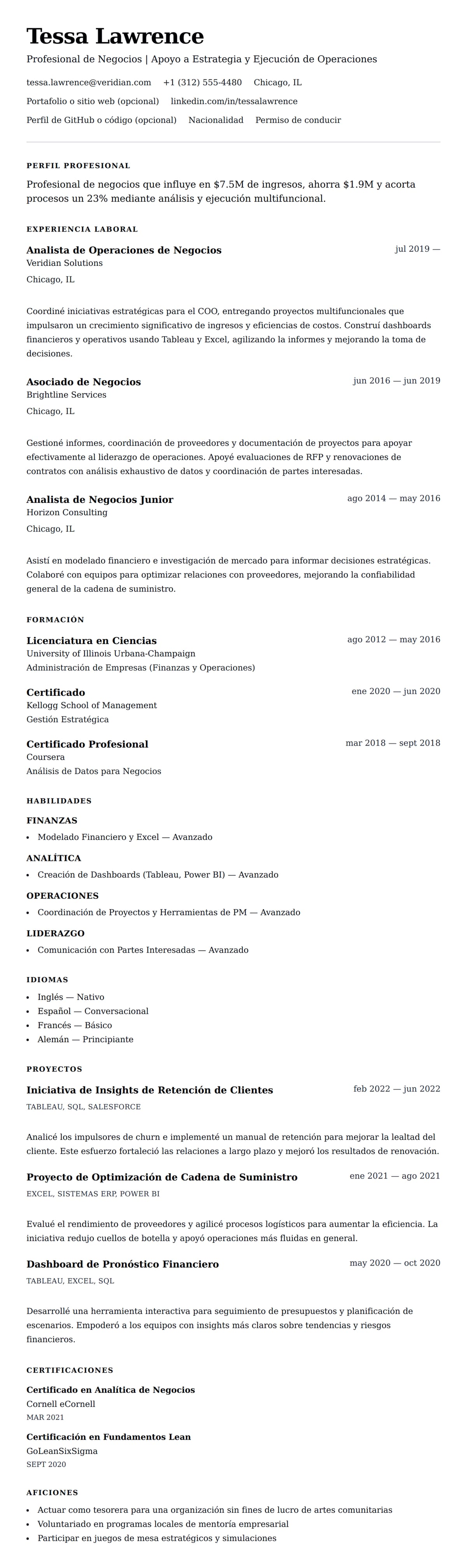 Vista previa del currículum Ejemplo de Currículum de Profesional de Negocios