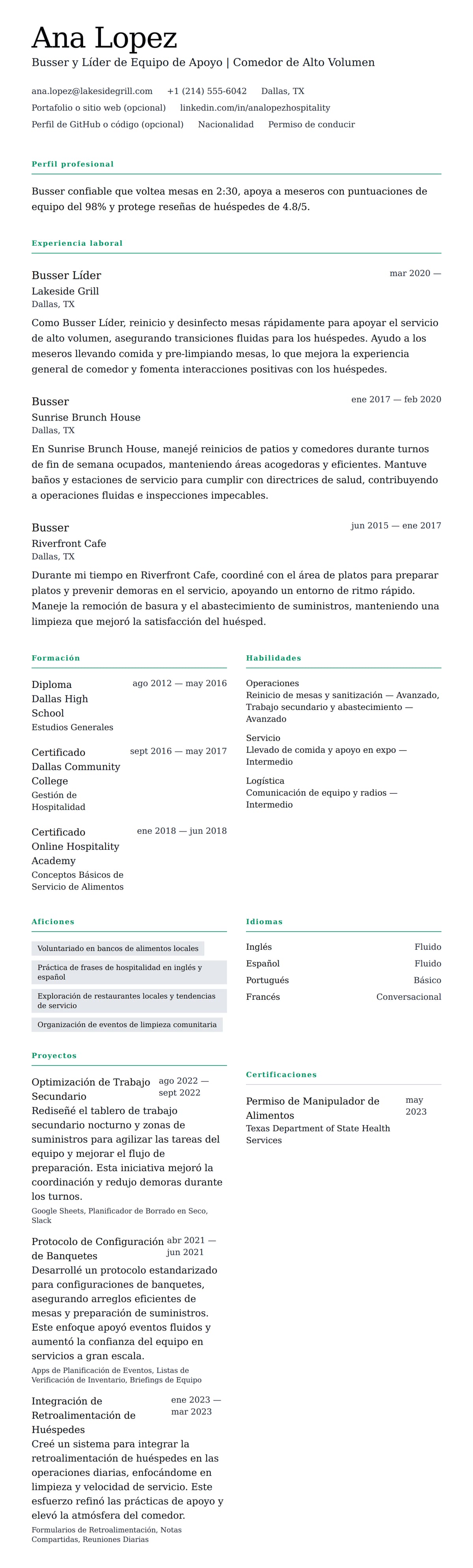 Vista previa del currículum Ejemplo de Currículum de Busser