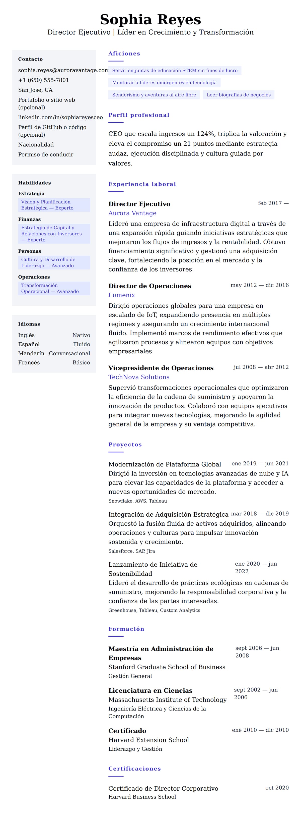 Vista previa del currículum Ejemplo de Currículum de Director Ejecutivo