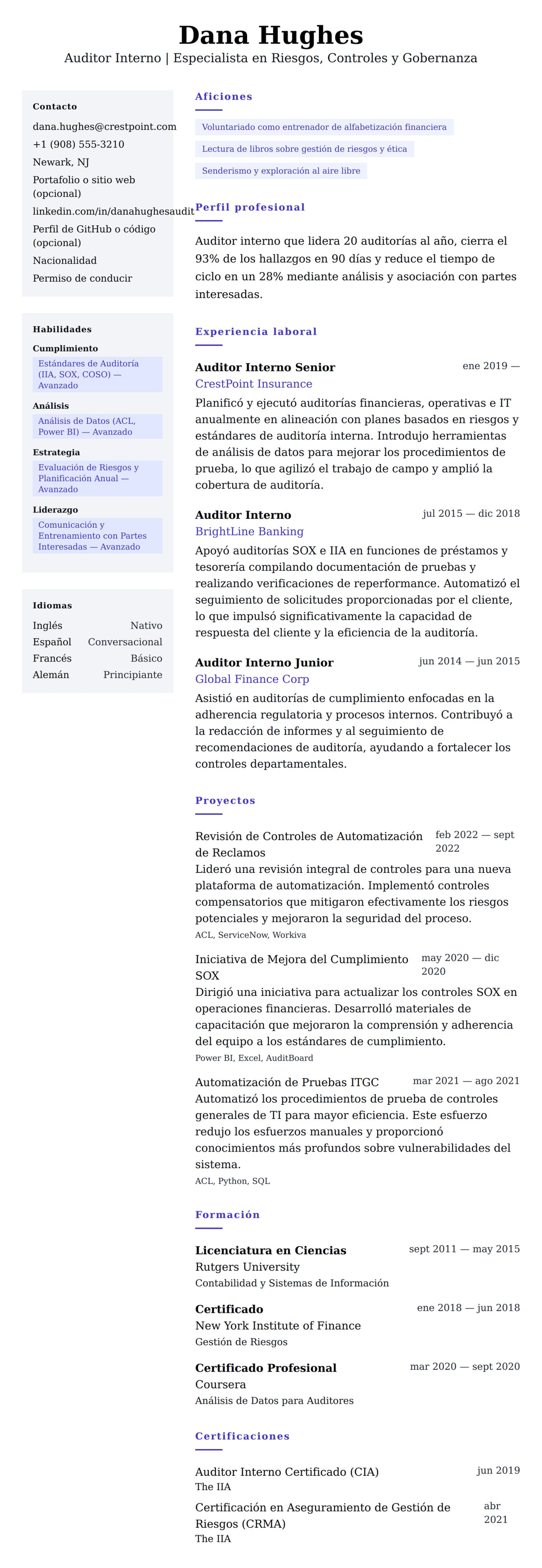 Vista previa del currículum Ejemplo de Currículum de Auditor Interno