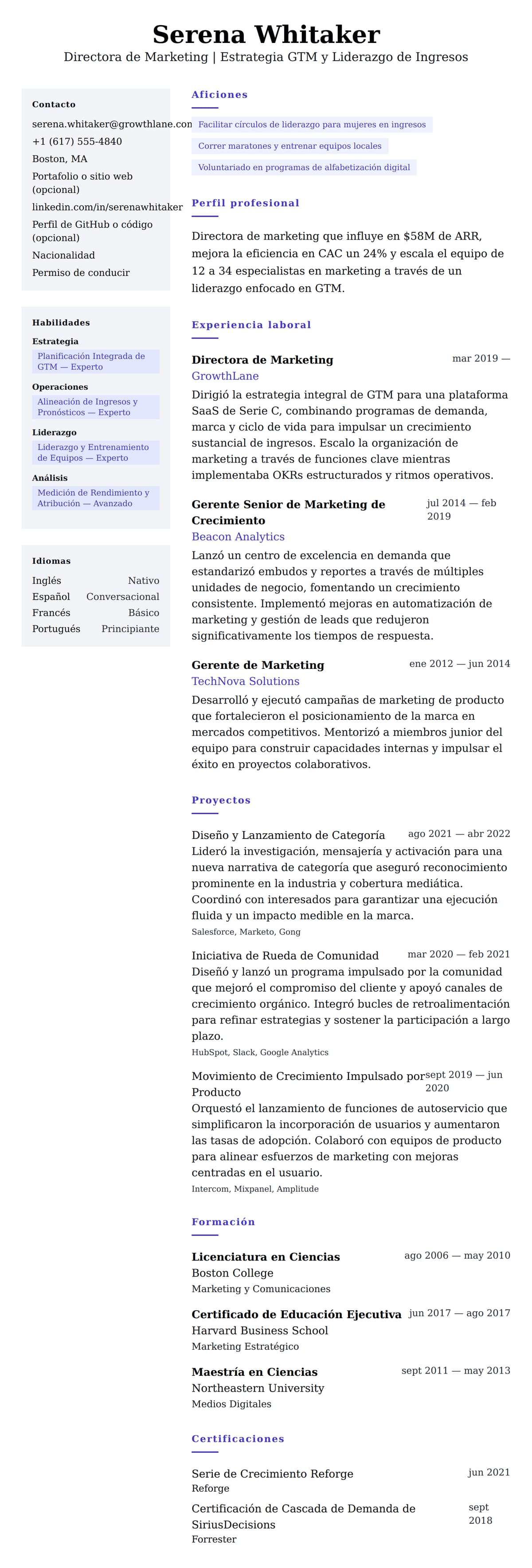 Vista previa del currículum Ejemplo de Currículum de Director de Marketing