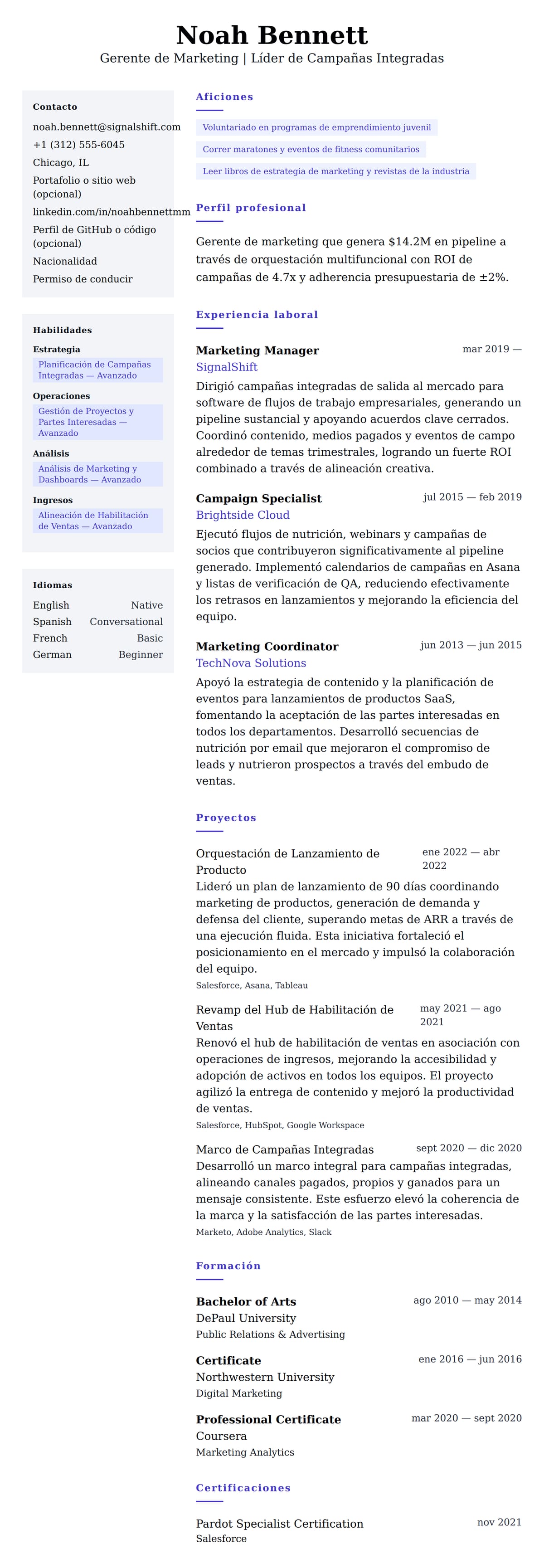 Vista previa del currículum Ejemplo de Currículum de Gerente de Marketing