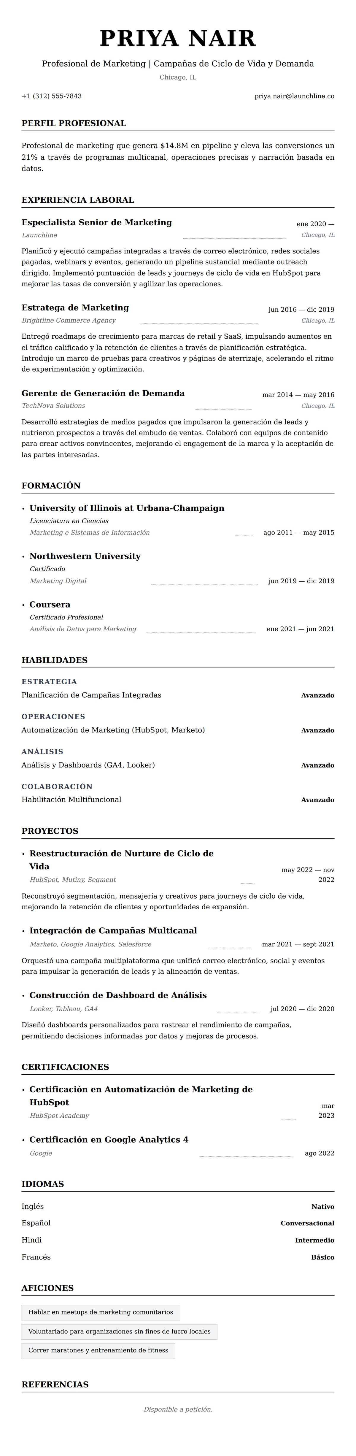 Vista previa del currículum Ejemplo de Currículum de Profesional de Marketing