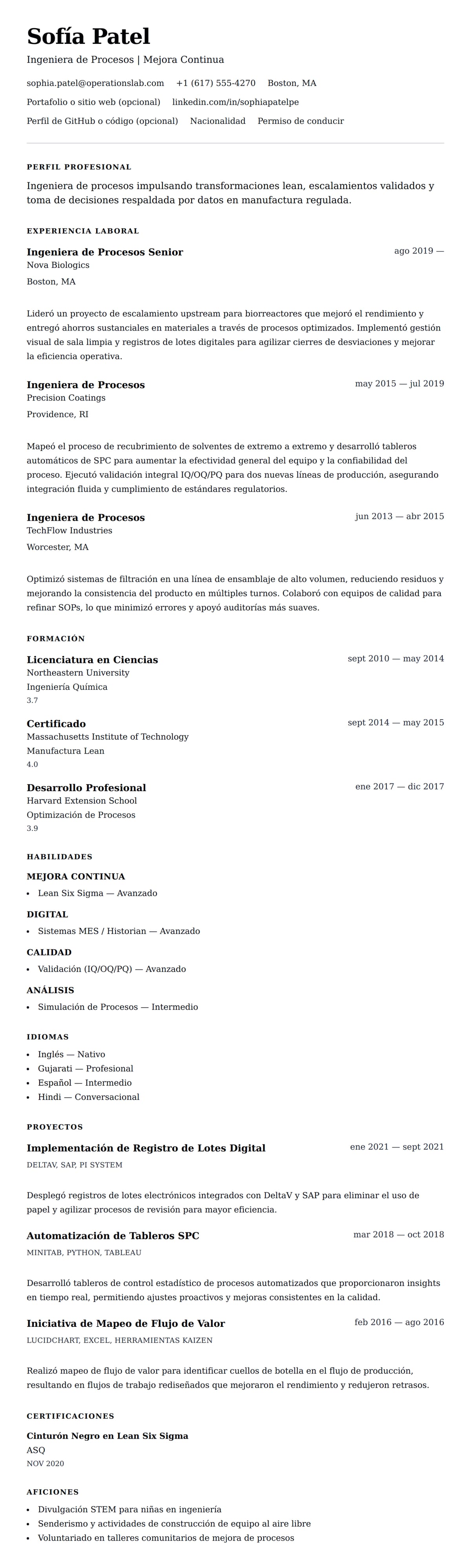 Vista previa del currículum Ejemplo de Currículum de Ingeniero de Procesos