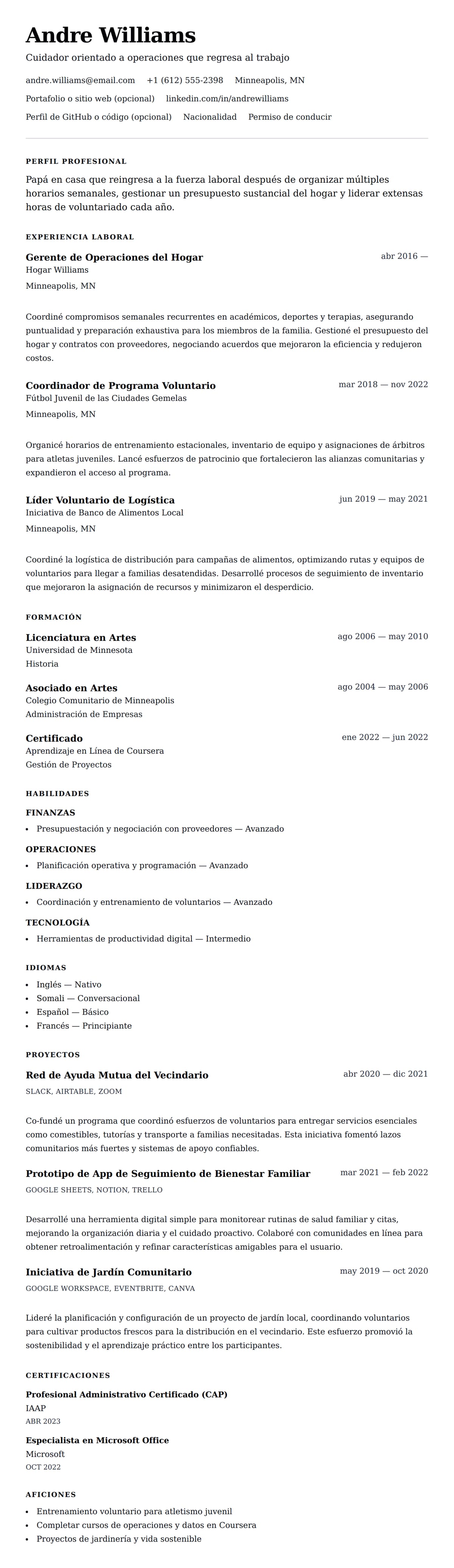 Vista previa del currículum Ejemplo de currículum de papá en casa