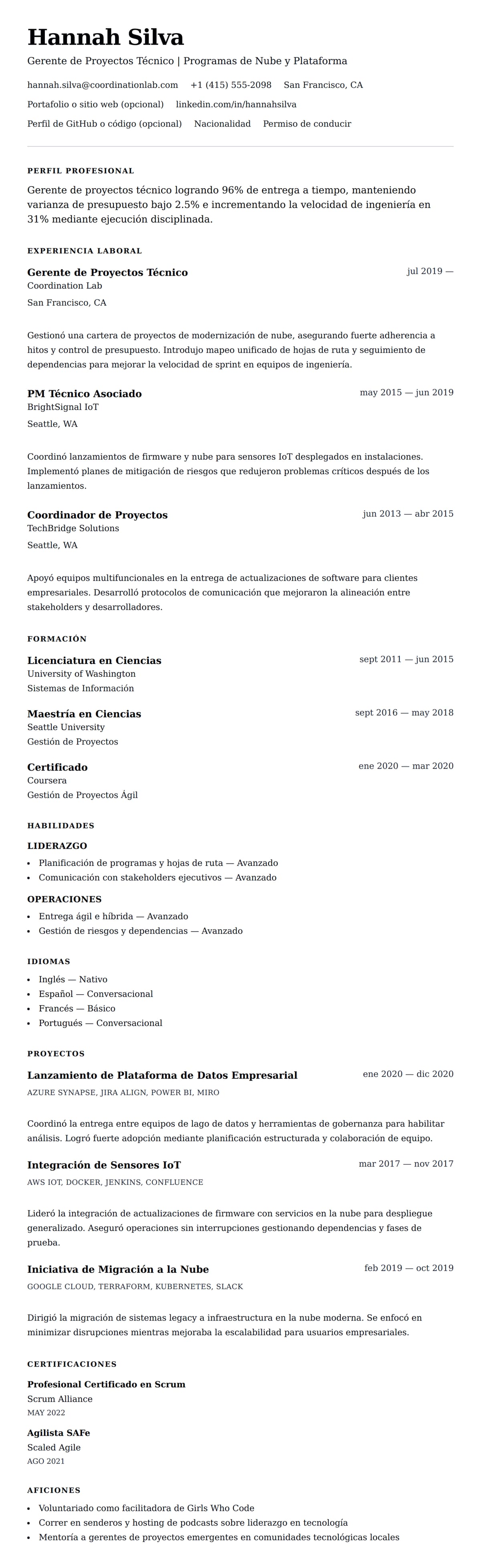 Vista previa del currículum Ejemplo de Currículum de Gerente de Proyectos Técnico