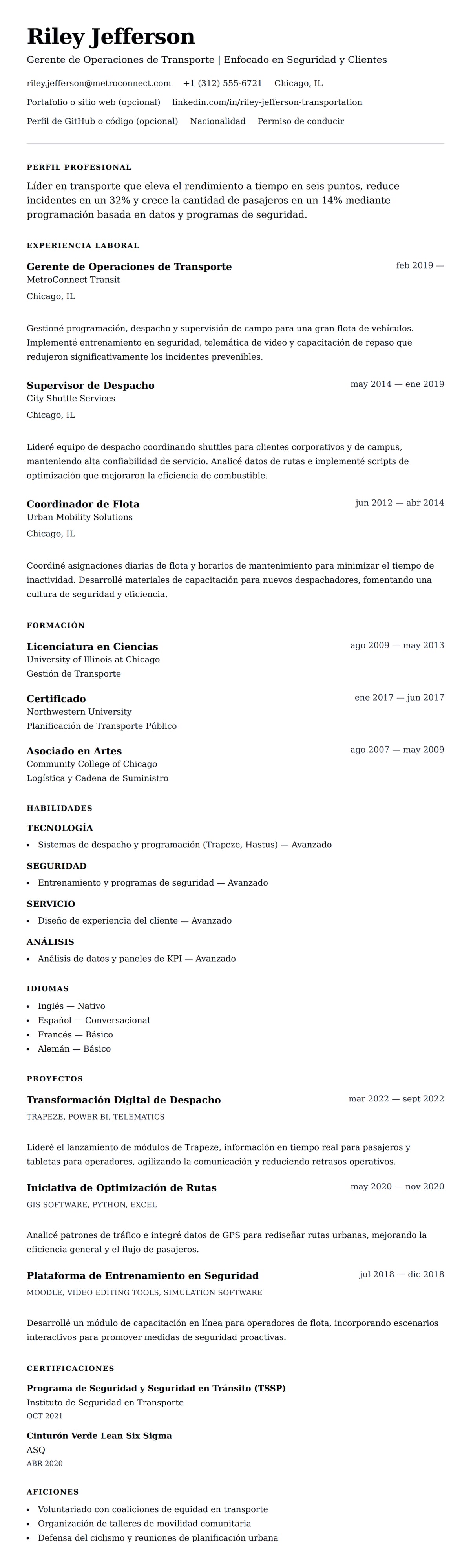 Vista previa del currículum Ejemplo de Currículum de Profesional en Transporte