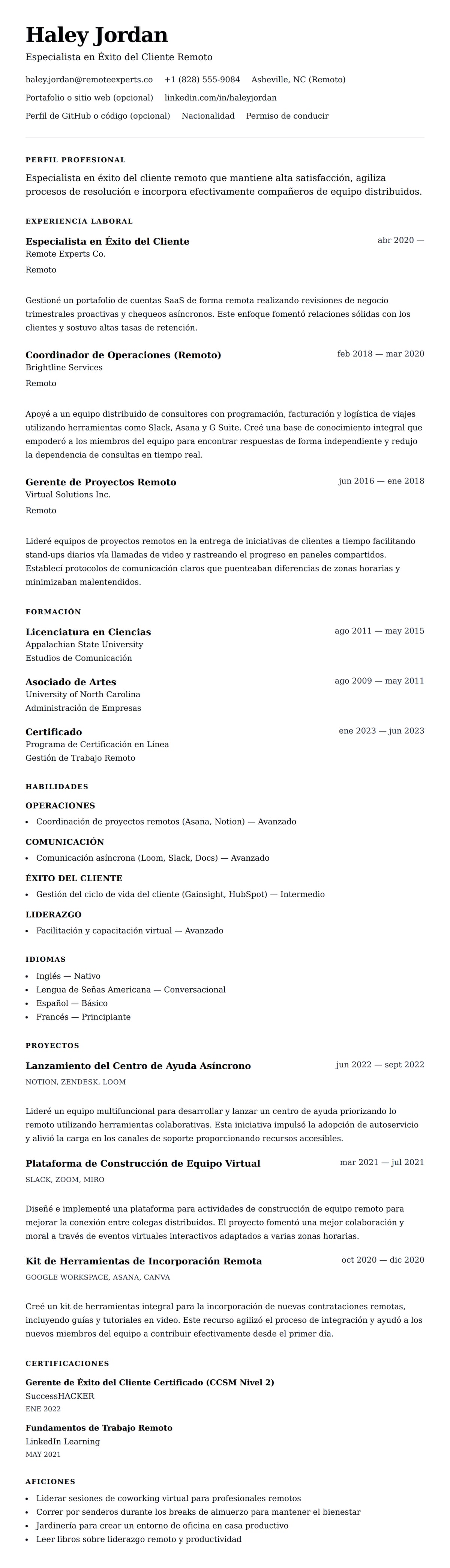 Vista previa del currículum Ejemplo de Currículum de Profesional de Trabajo desde Casa