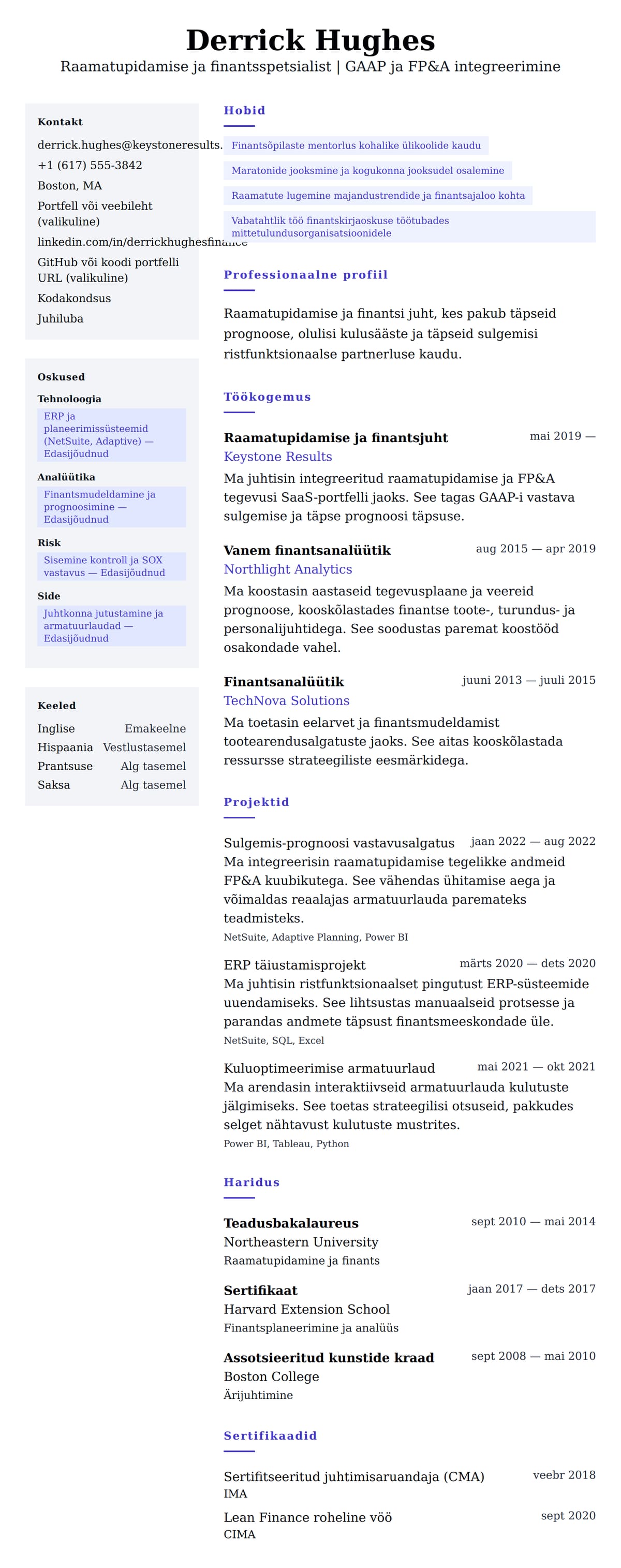 CV eelvaade Raamatupidamise ja finantsspetsialisti CV näide jaoks