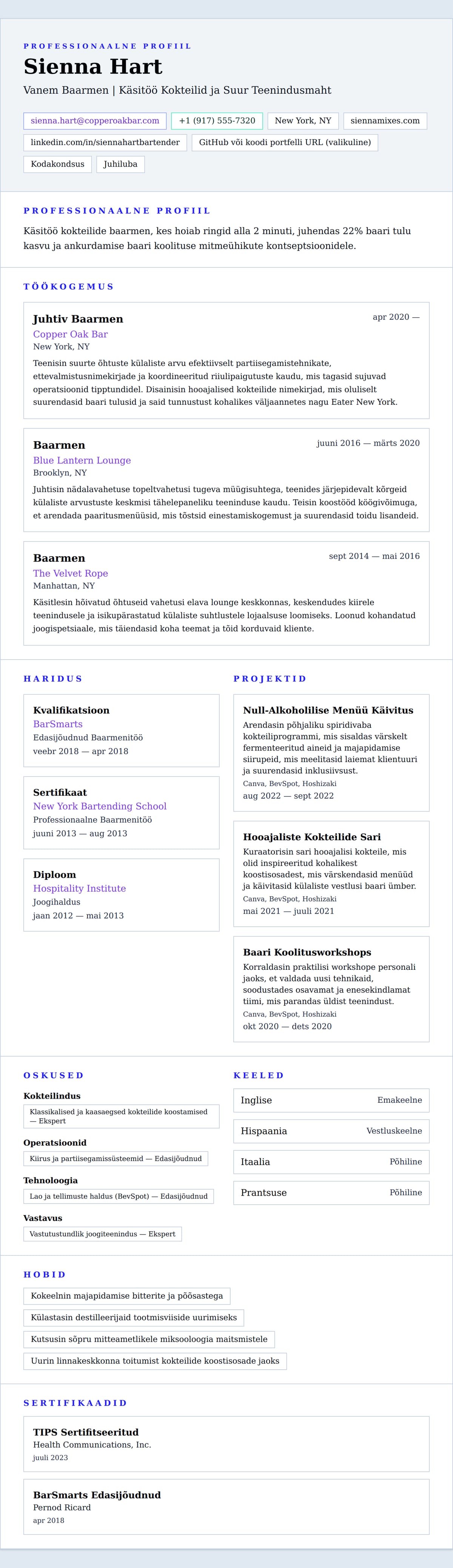 CV eelvaade Baarmeni CV näidis jaoks