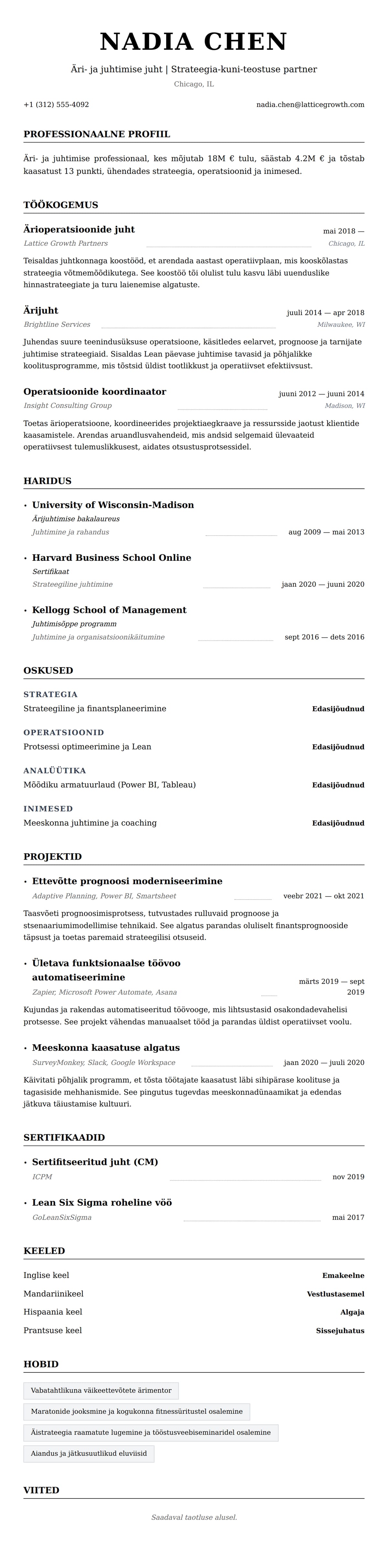 CV eelvaade Äri- ja juhtimise professionaali CV näide jaoks