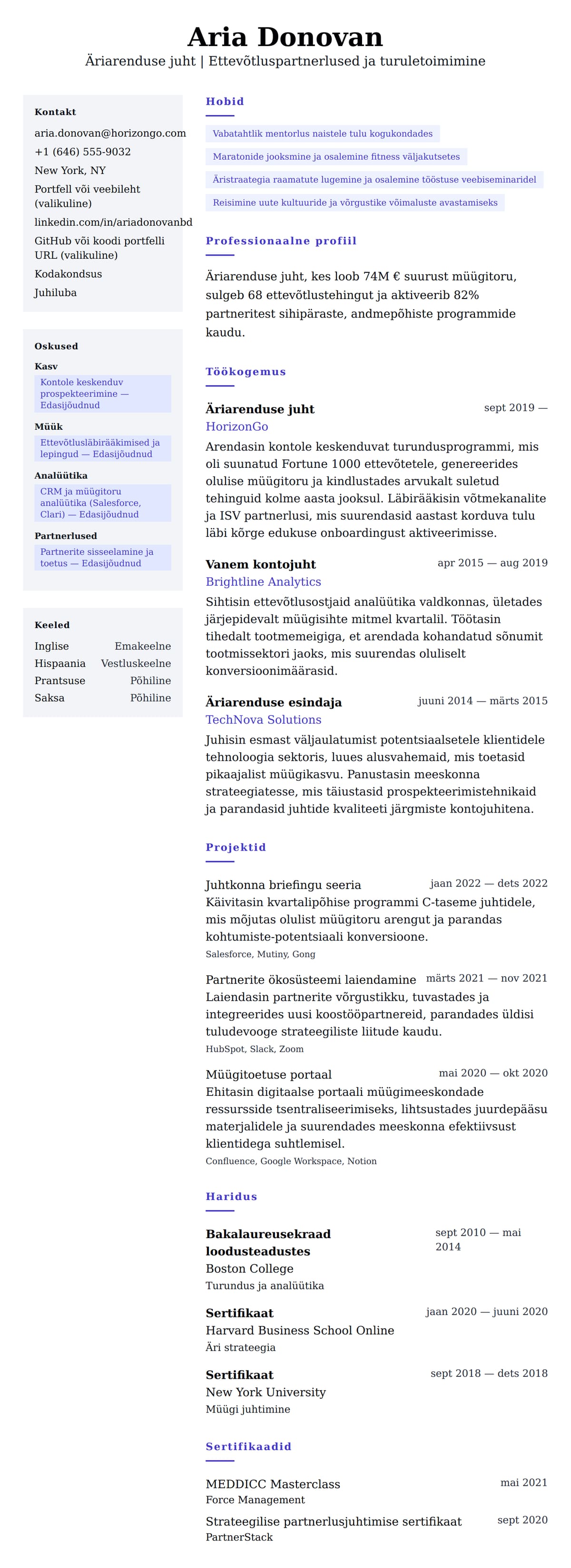 CV eelvaade Äriarenduse juhi CV näide jaoks