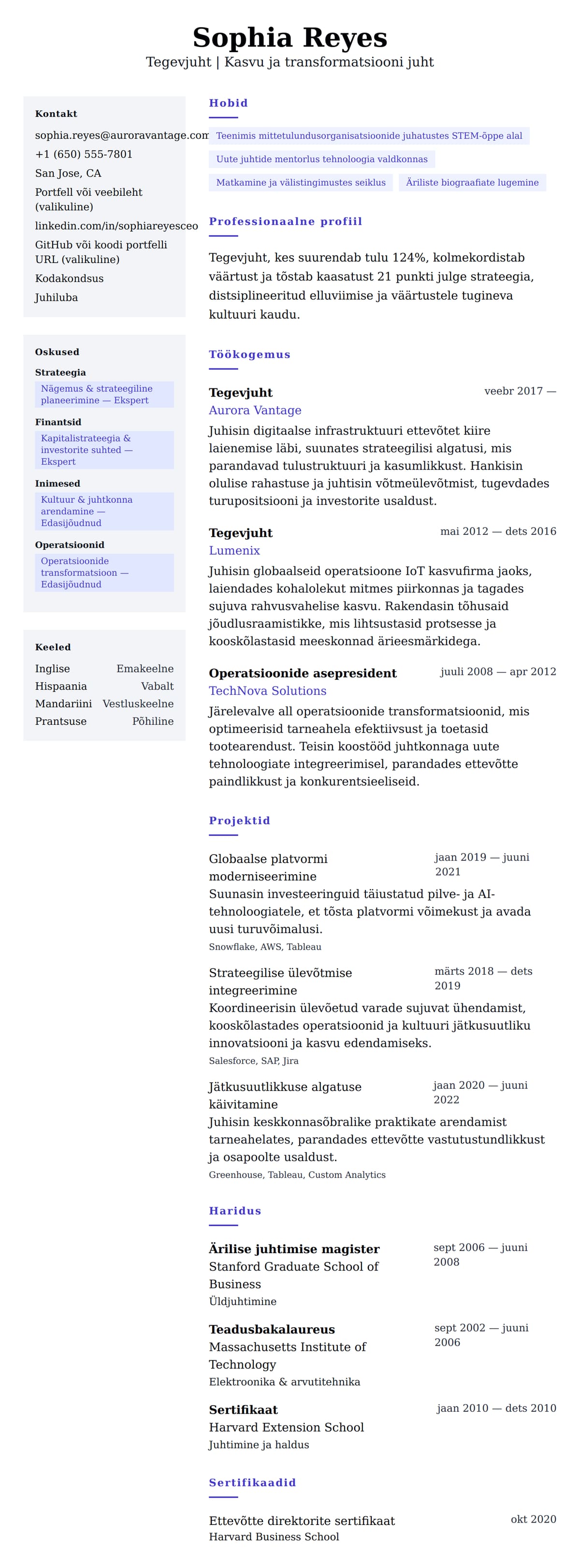 CV eelvaade Tegevjuhti CV näide jaoks