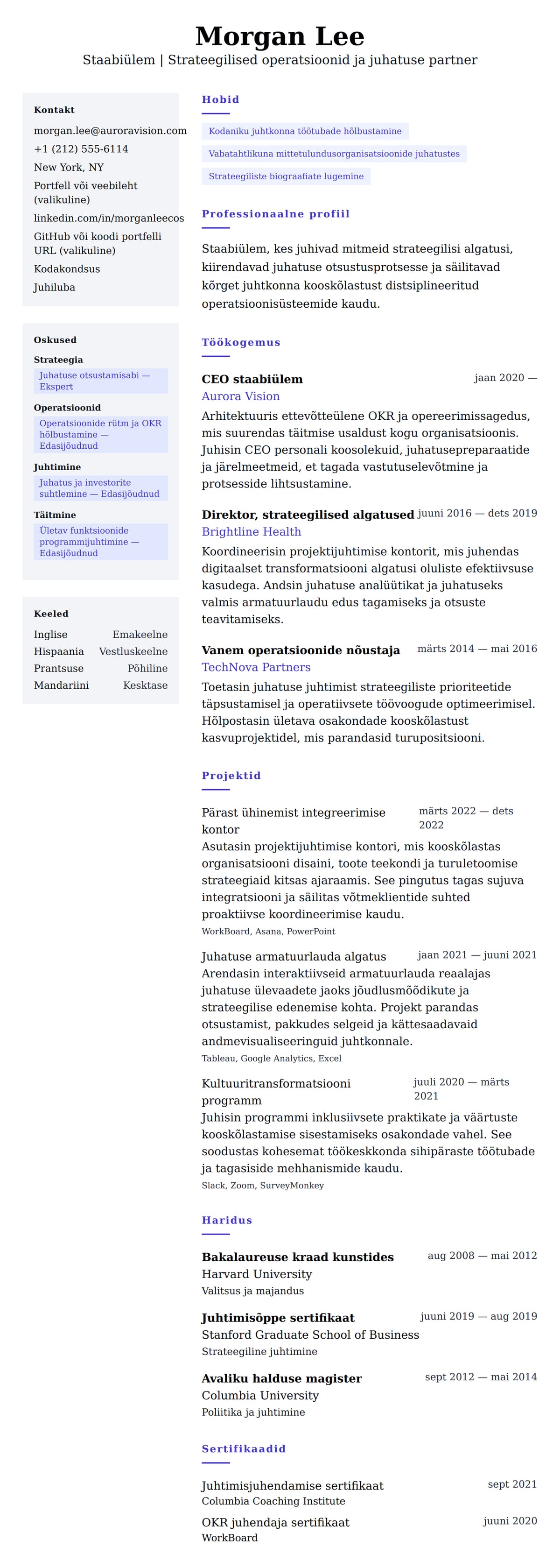 CV eelvaade Staabiüleme näidis CV jaoks