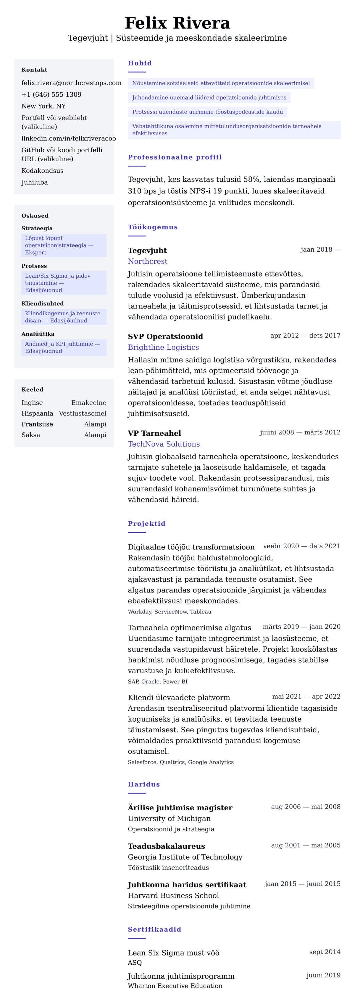 CV eelvaade Tegevjuht CV näide jaoks