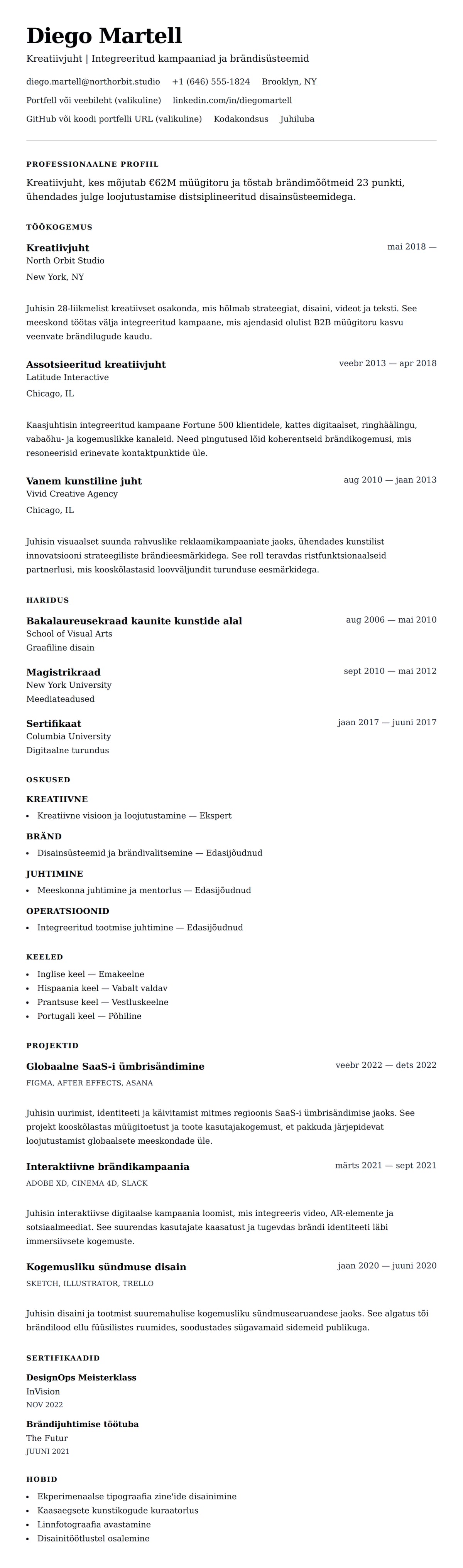 CV eelvaade Kreatiivjuhi CV näide jaoks