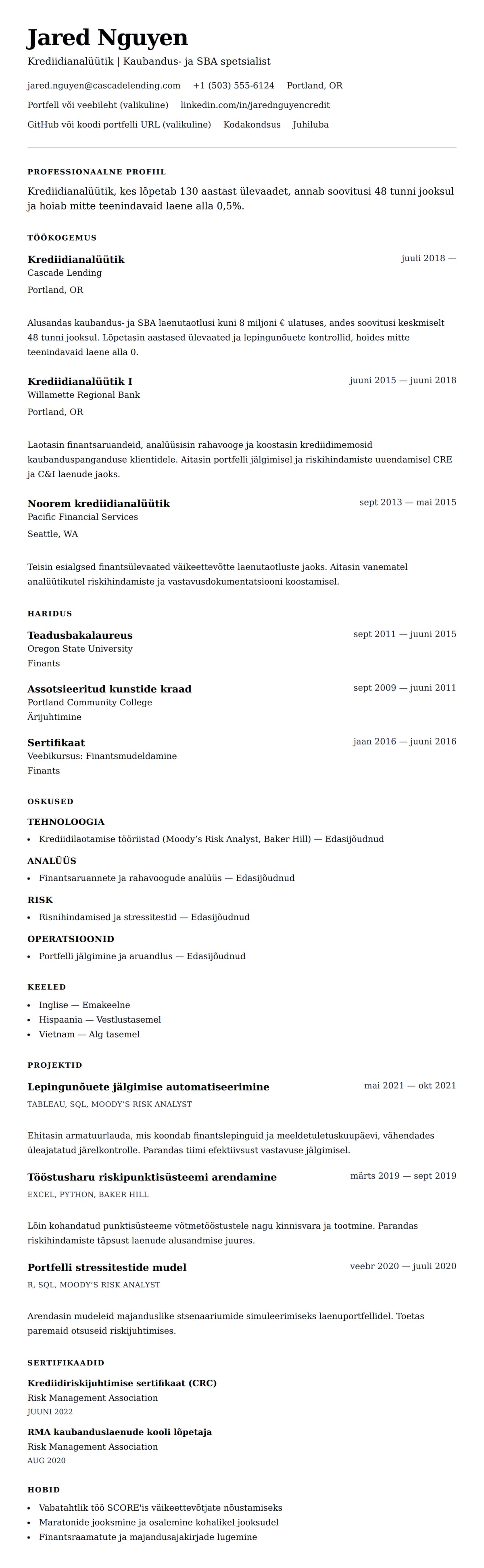 CV eelvaade Krediidianalüütiku CV näide jaoks