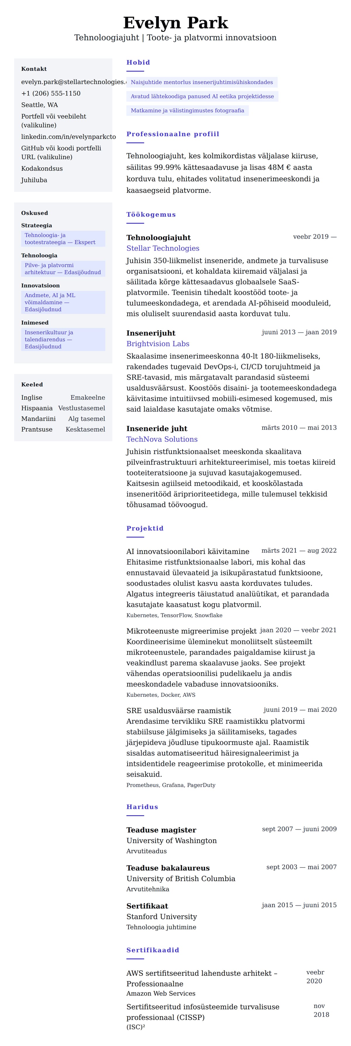 CV eelvaade Tehnoloogiajuhi CV näidis jaoks
