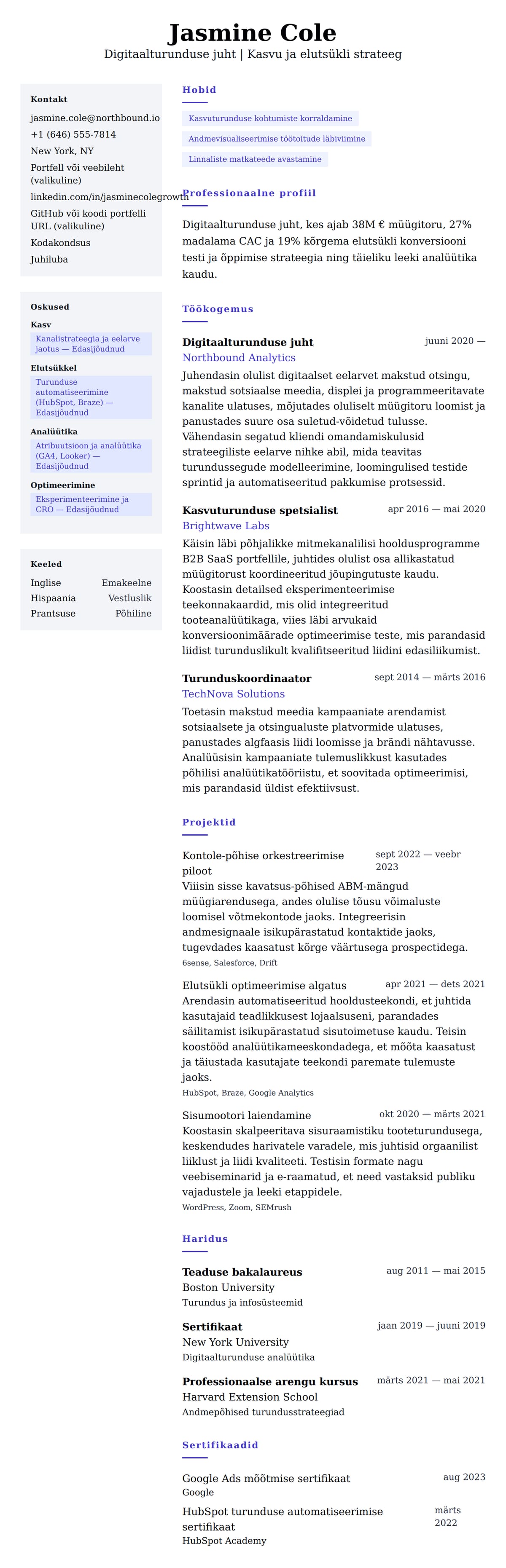 CV eelvaade Digitaalturunduse juhi CV näide jaoks