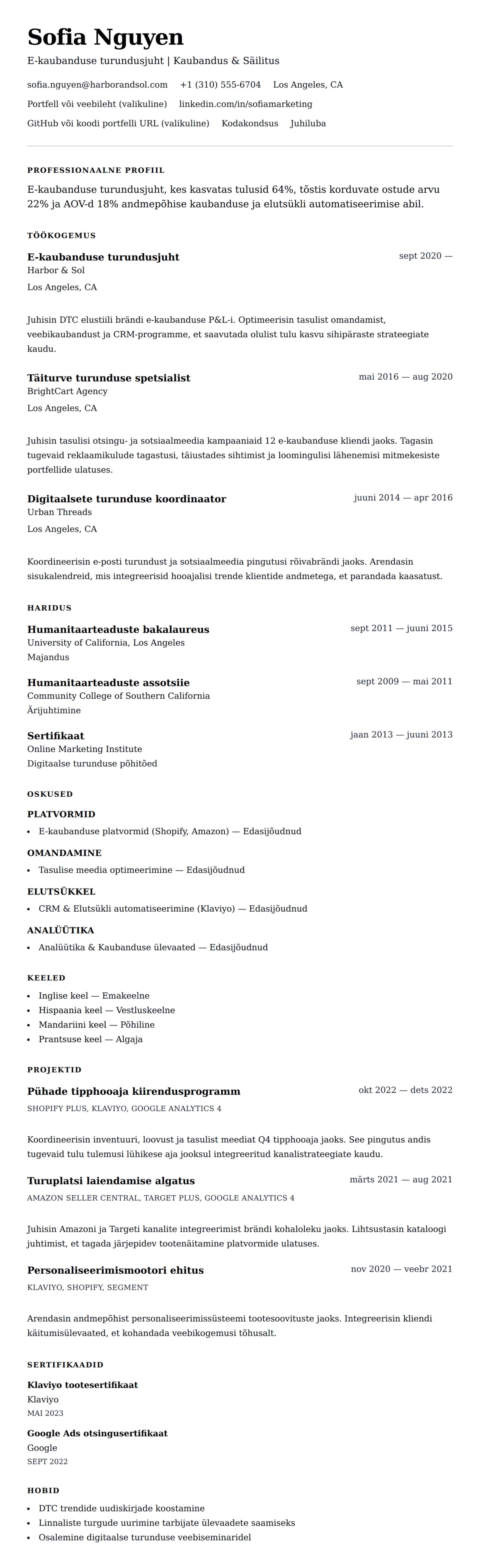 CV eelvaade E-kaubanduse turundusjuhti CV näide jaoks