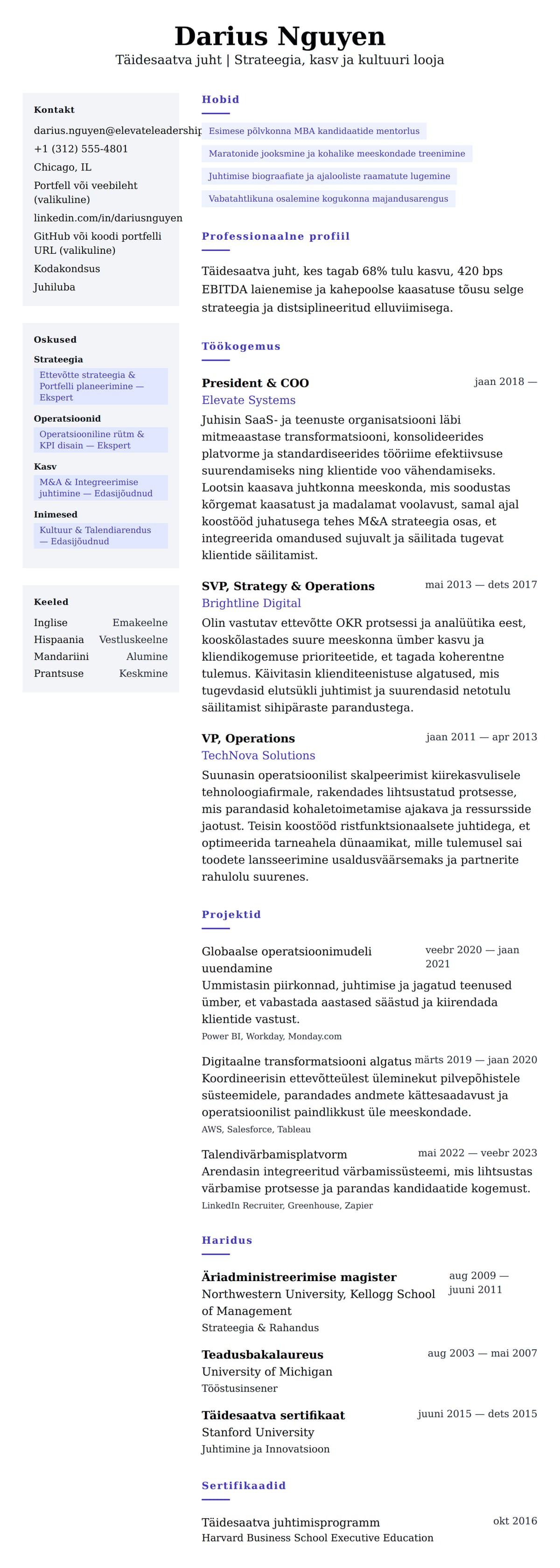 CV eelvaade Täidesaatva juhi CV näide jaoks