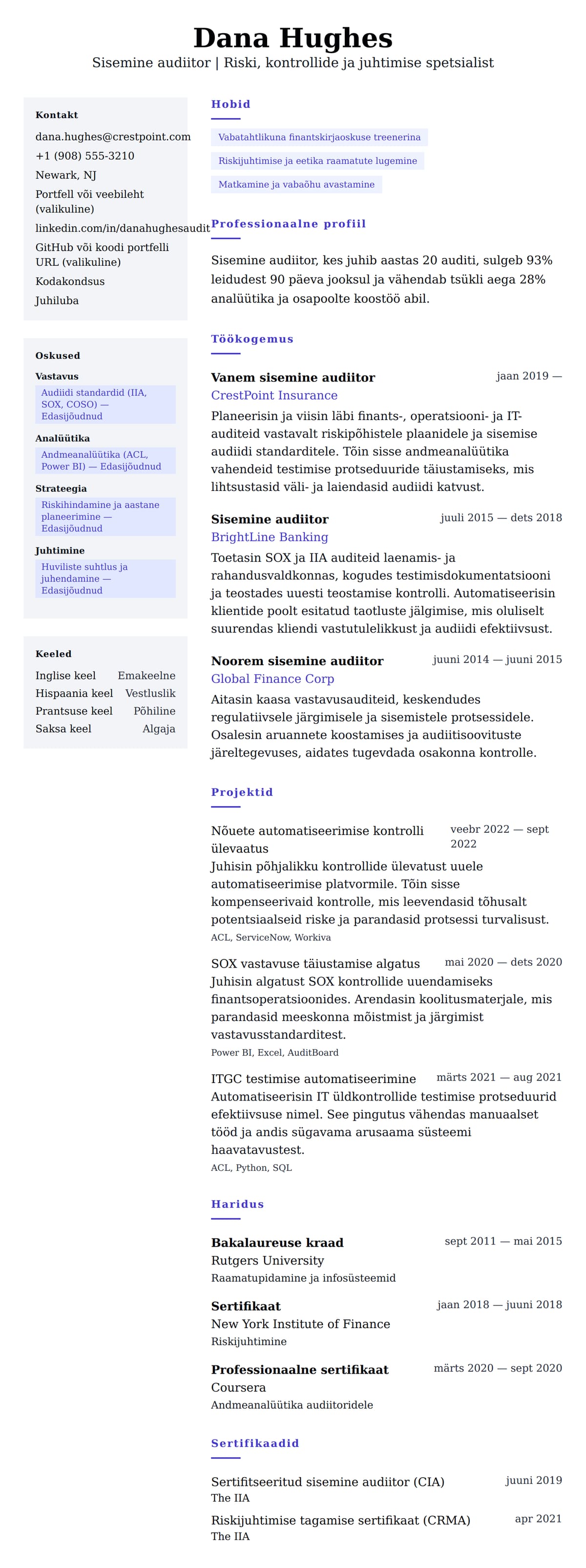 CV eelvaade Sisemise audiitori CV näide jaoks