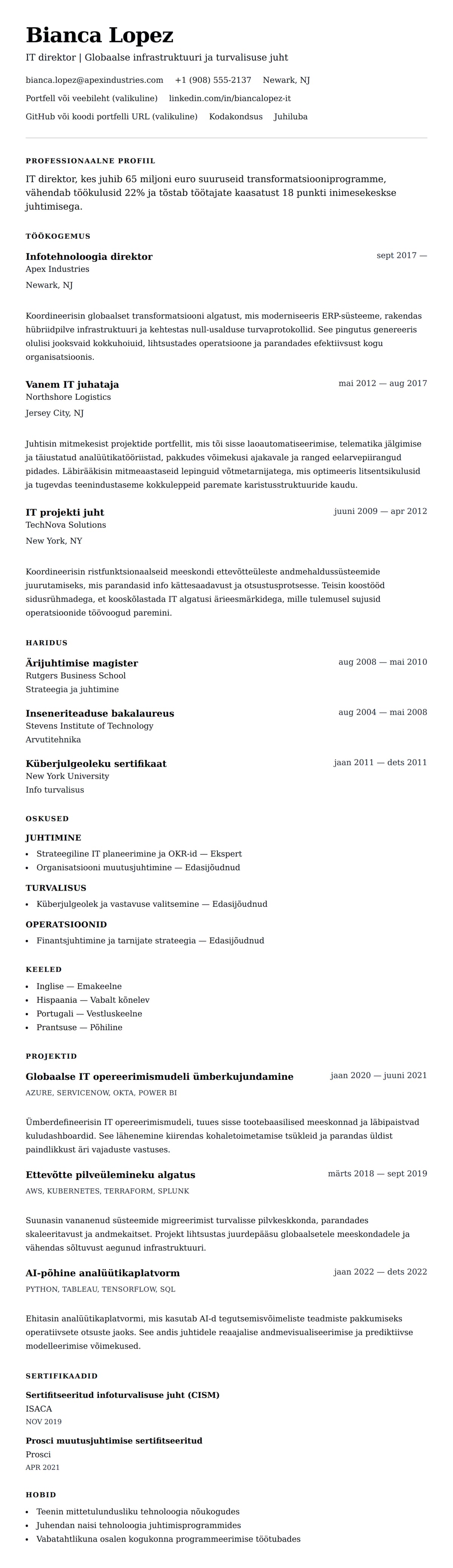 CV eelvaade IT direktori CV näidis jaoks