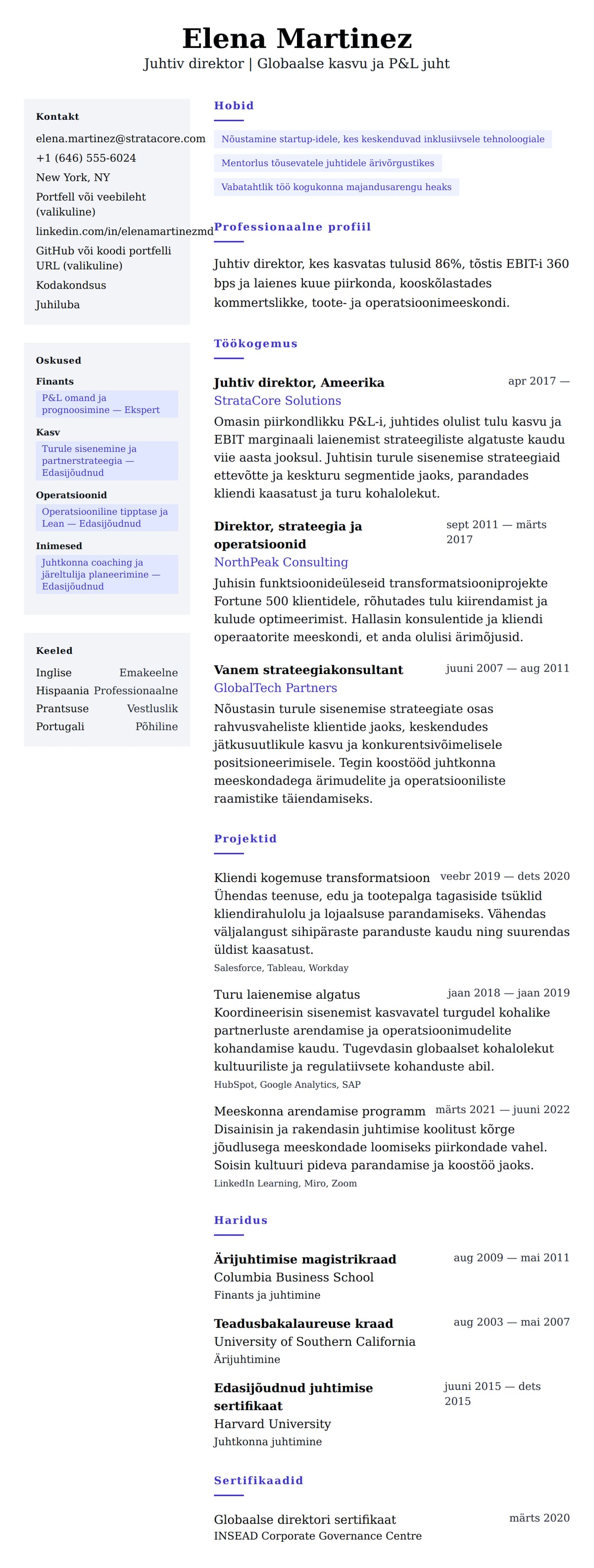 CV eelvaade Juhtiva direktori CV näide jaoks