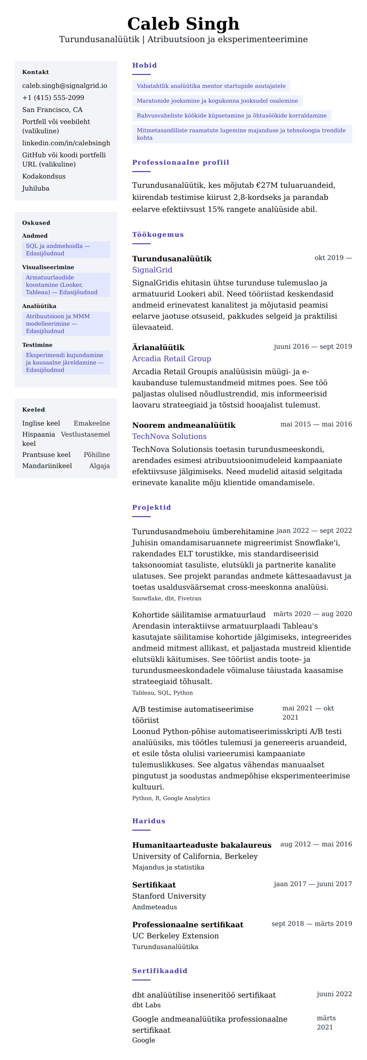 CV eelvaade Turundusanalüütiku CV näidis jaoks