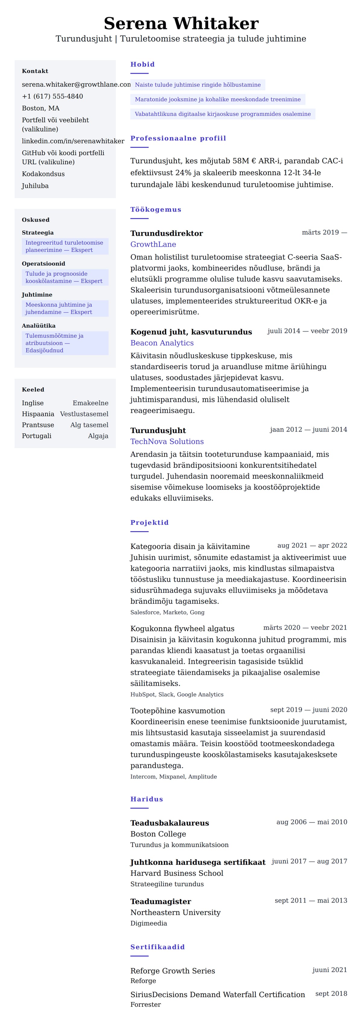 CV eelvaade Turundusjuhi CV näidis jaoks