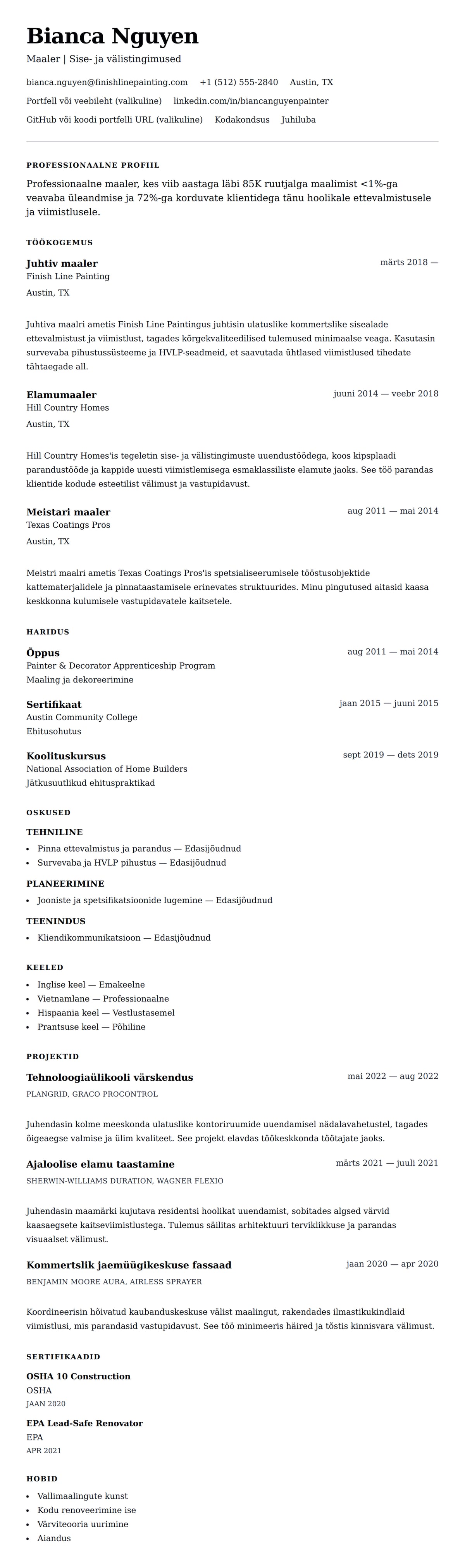 CV eelvaade Maalri CV näide jaoks