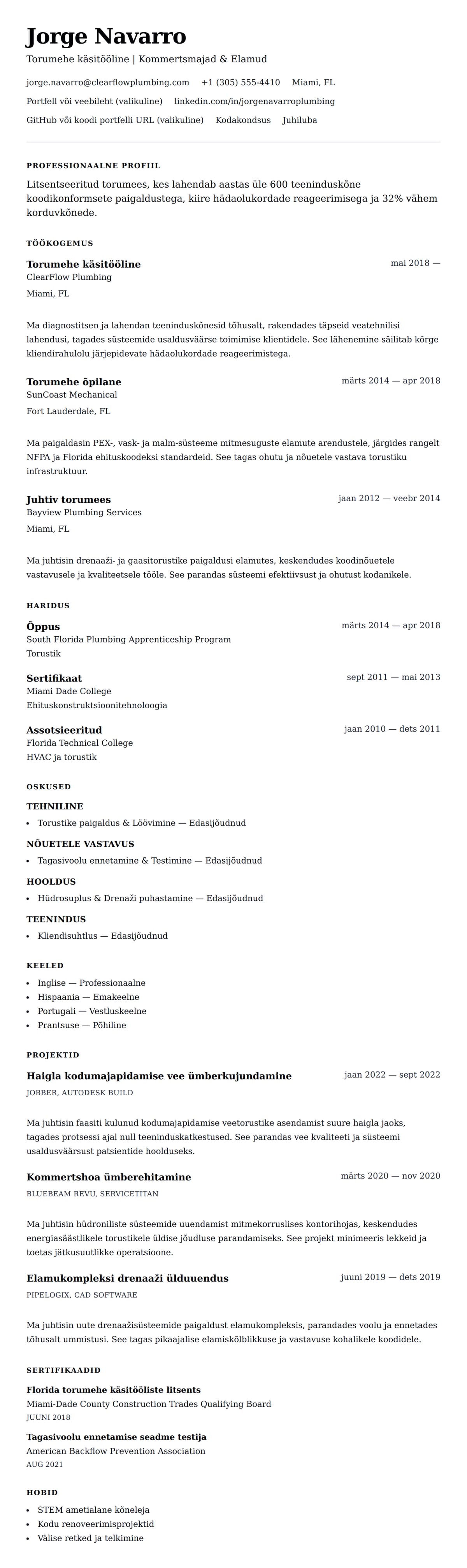 CV eelvaade Torumehe CV näide jaoks