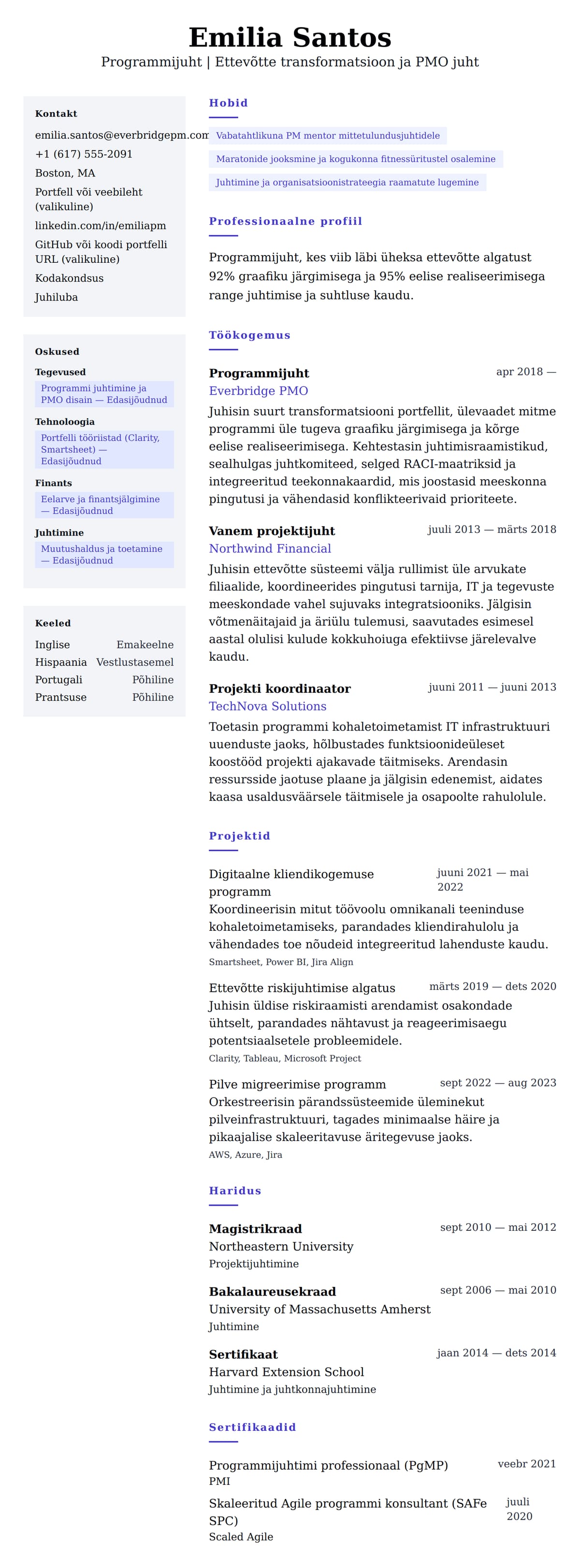 CV eelvaade Programmijuhataja CV näidis jaoks