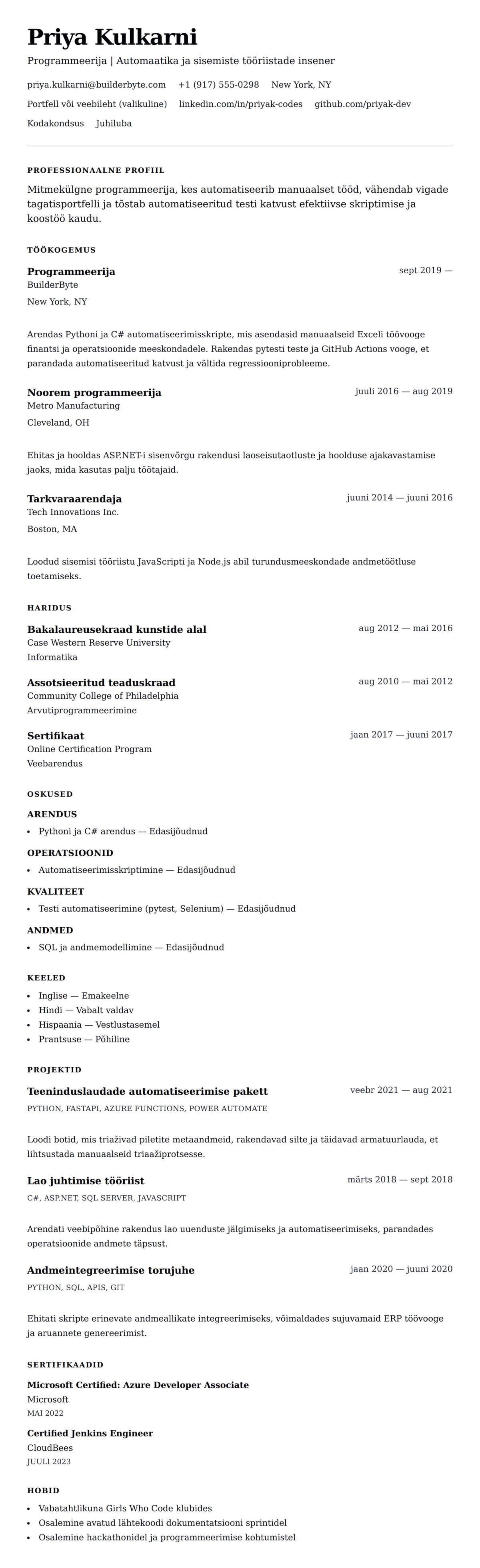 CV eelvaade Programmeerija CV näidis jaoks