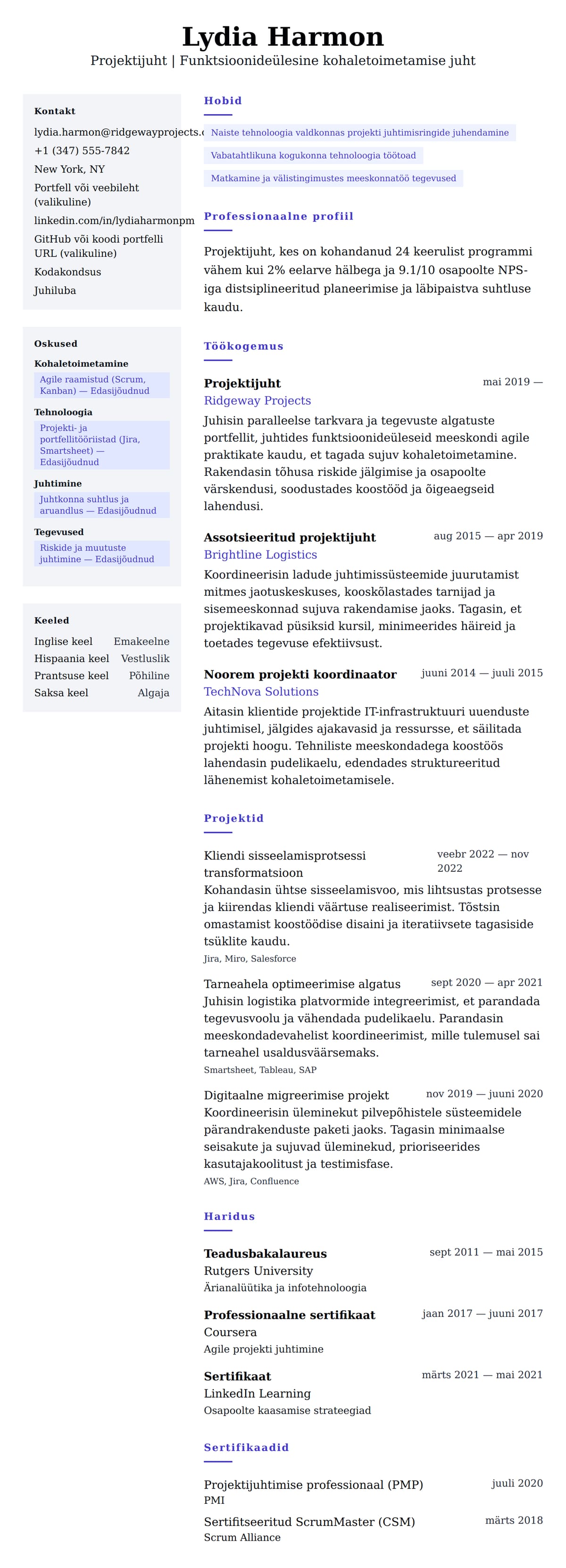 CV eelvaade Projektijuhi CV näide jaoks