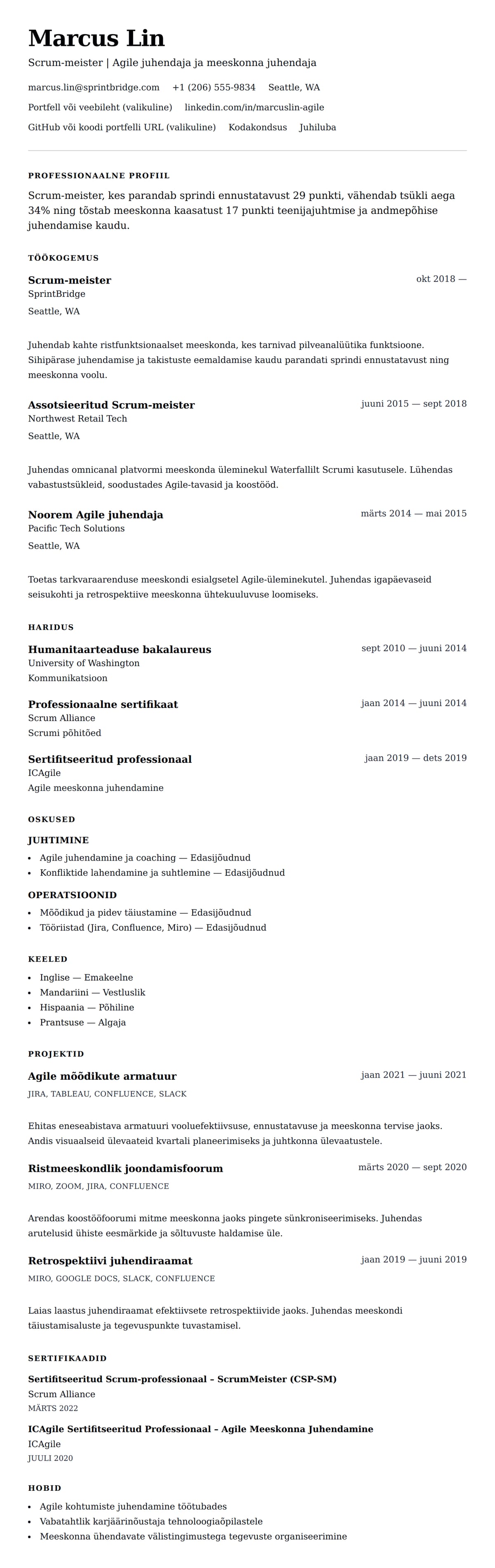 CV eelvaade Scrum-meistri CV näide jaoks