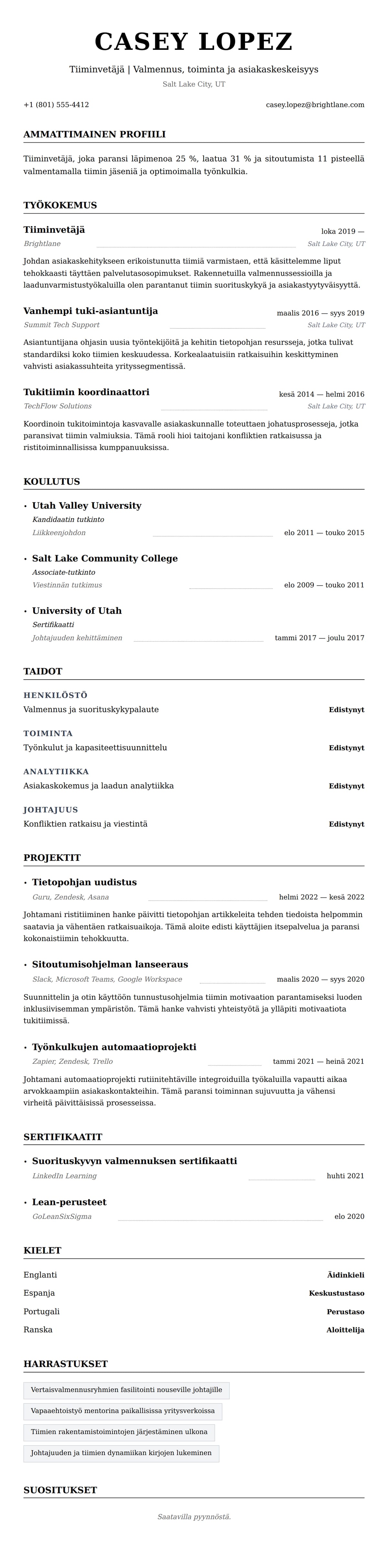 Ansioluetteloesikatselu kohteelle Tiiminvetäjän ansioluetteloesimerkki