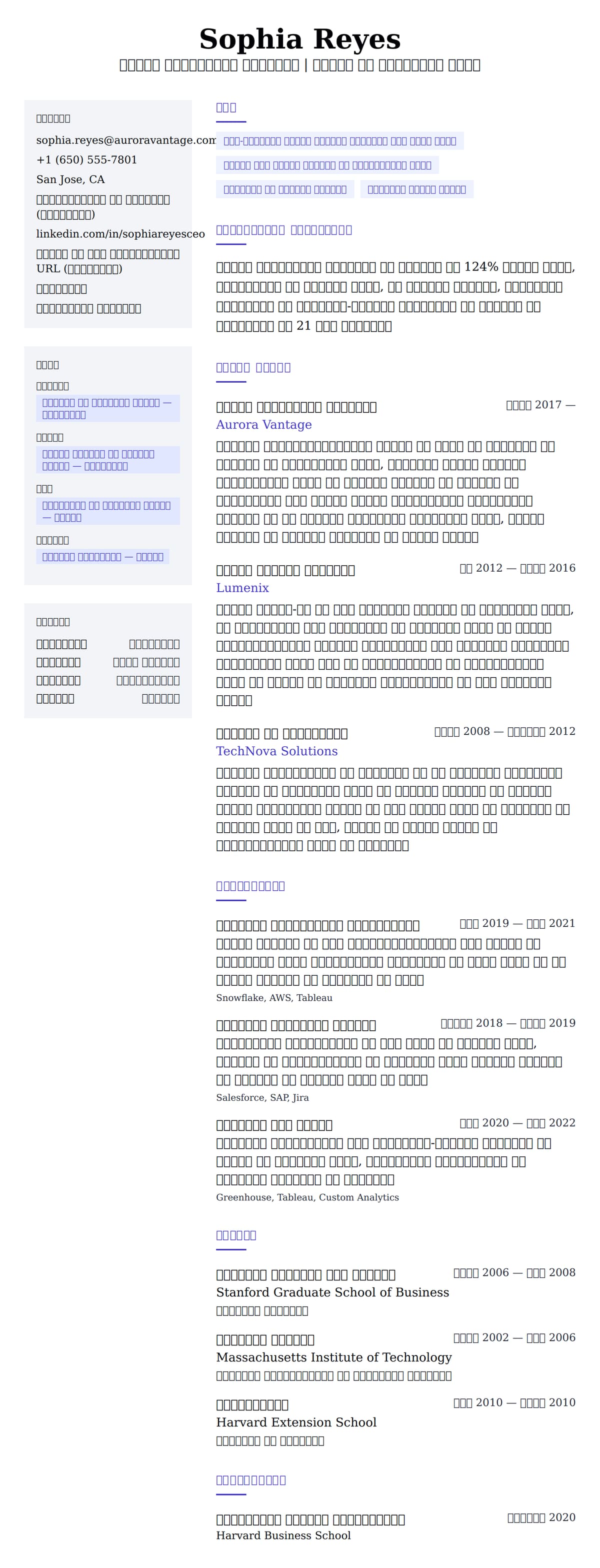 मुख्य कार्यकारी अधिकारी रिज्यूमे उदाहरण के लिए रिज्यूम पूर्वावलोकन