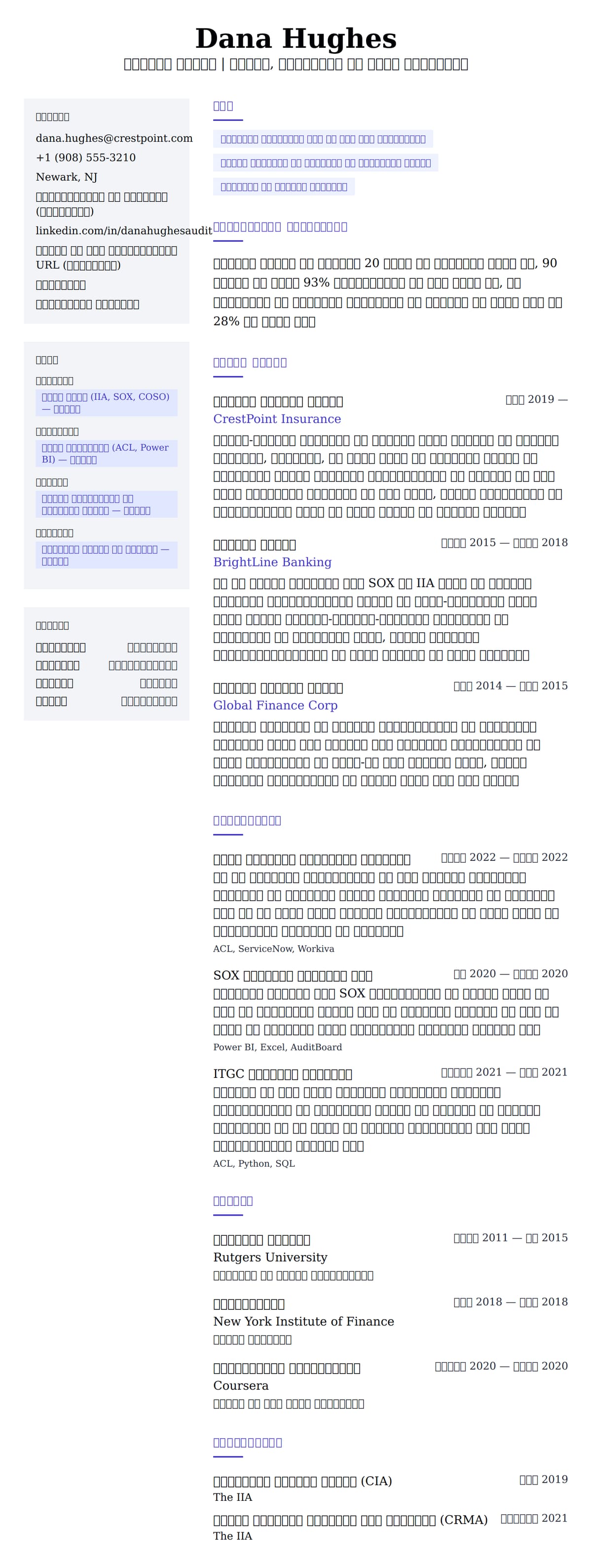आंतरिक ऑडिटर रिज्यूम उदाहरण के लिए रिज्यूम पूर्वावलोकन