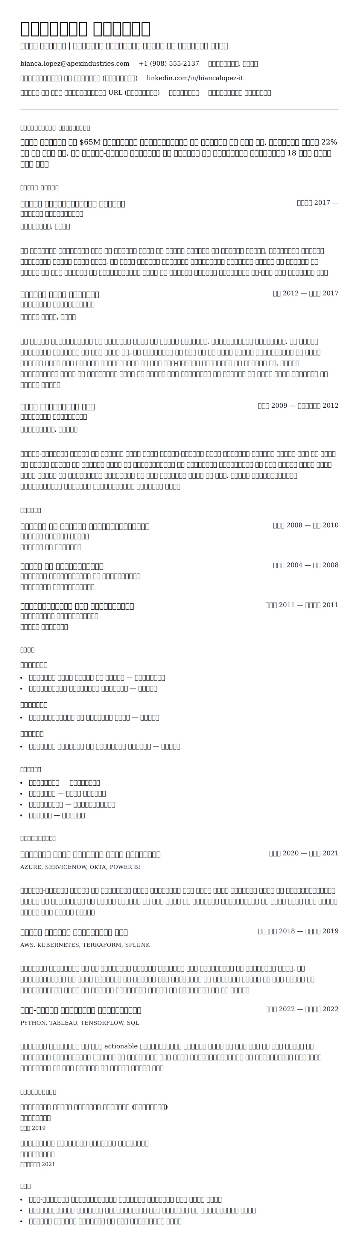 आईटी निदेशक रिज्यूमे उदाहरण के लिए रिज्यूम पूर्वावलोकन