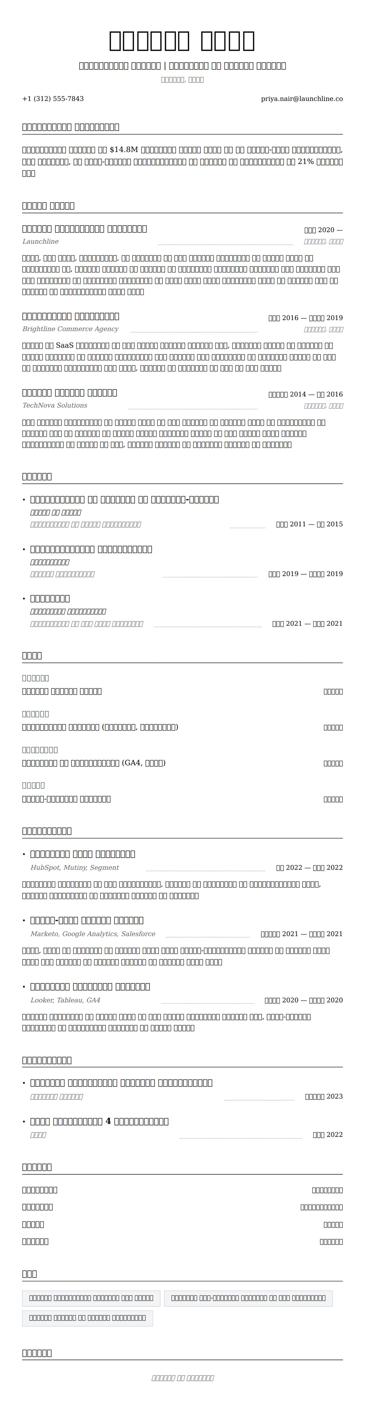 मार्केटिंग पेशेवर रिज्यूमे उदाहरण के लिए रिज्यूम पूर्वावलोकन